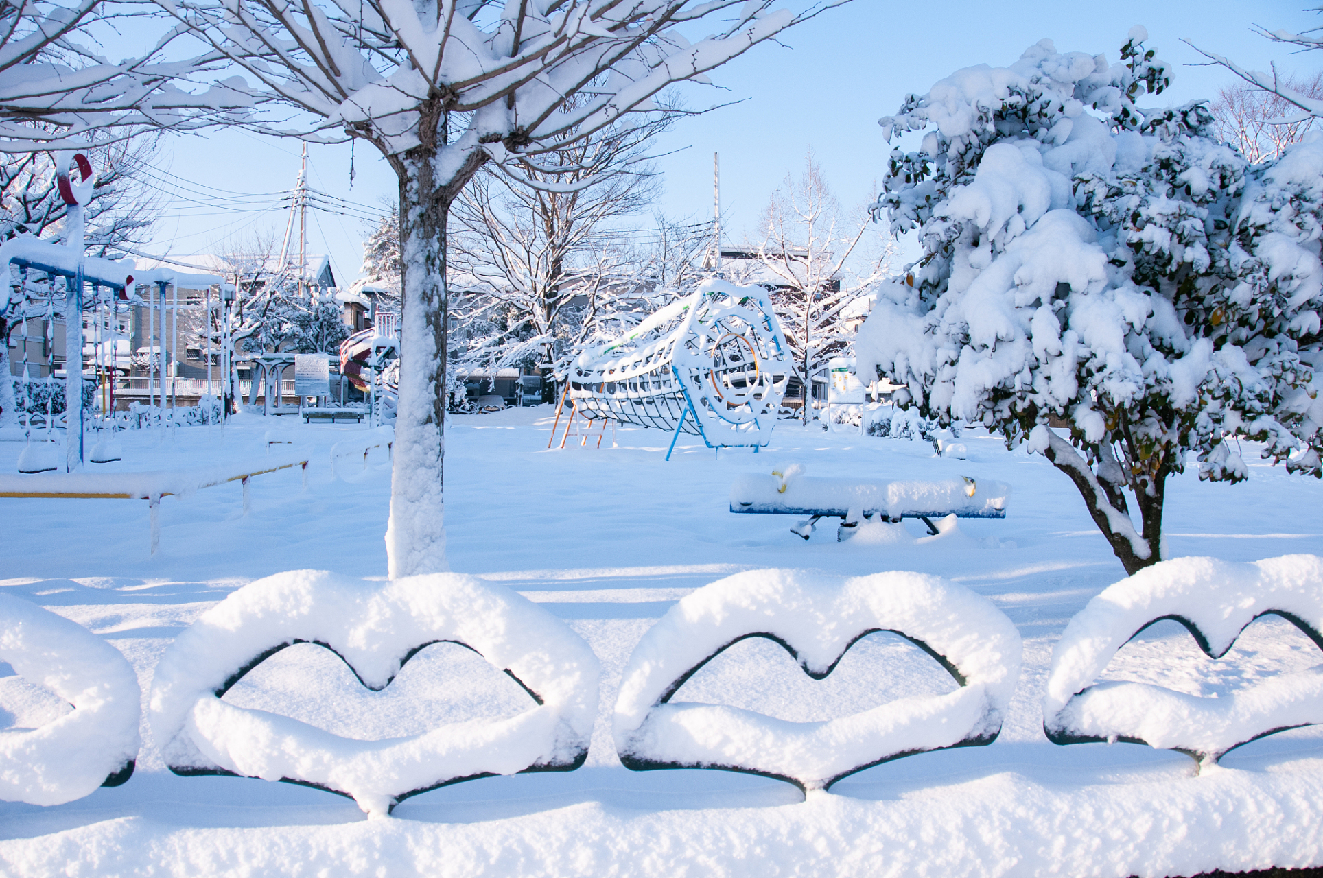 冬天来了,白雪皑皑的景色让人心旷神怡.