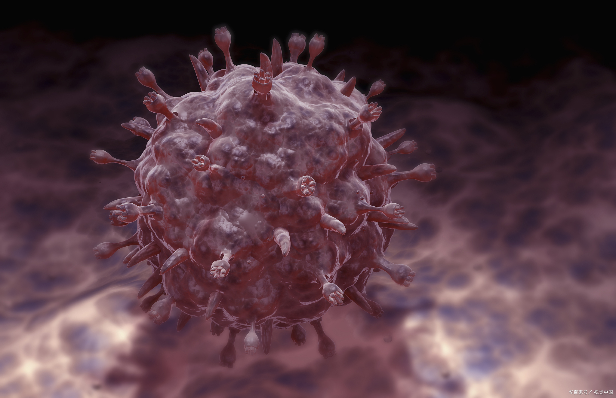  朊病毒(朊病毒是什么意思)