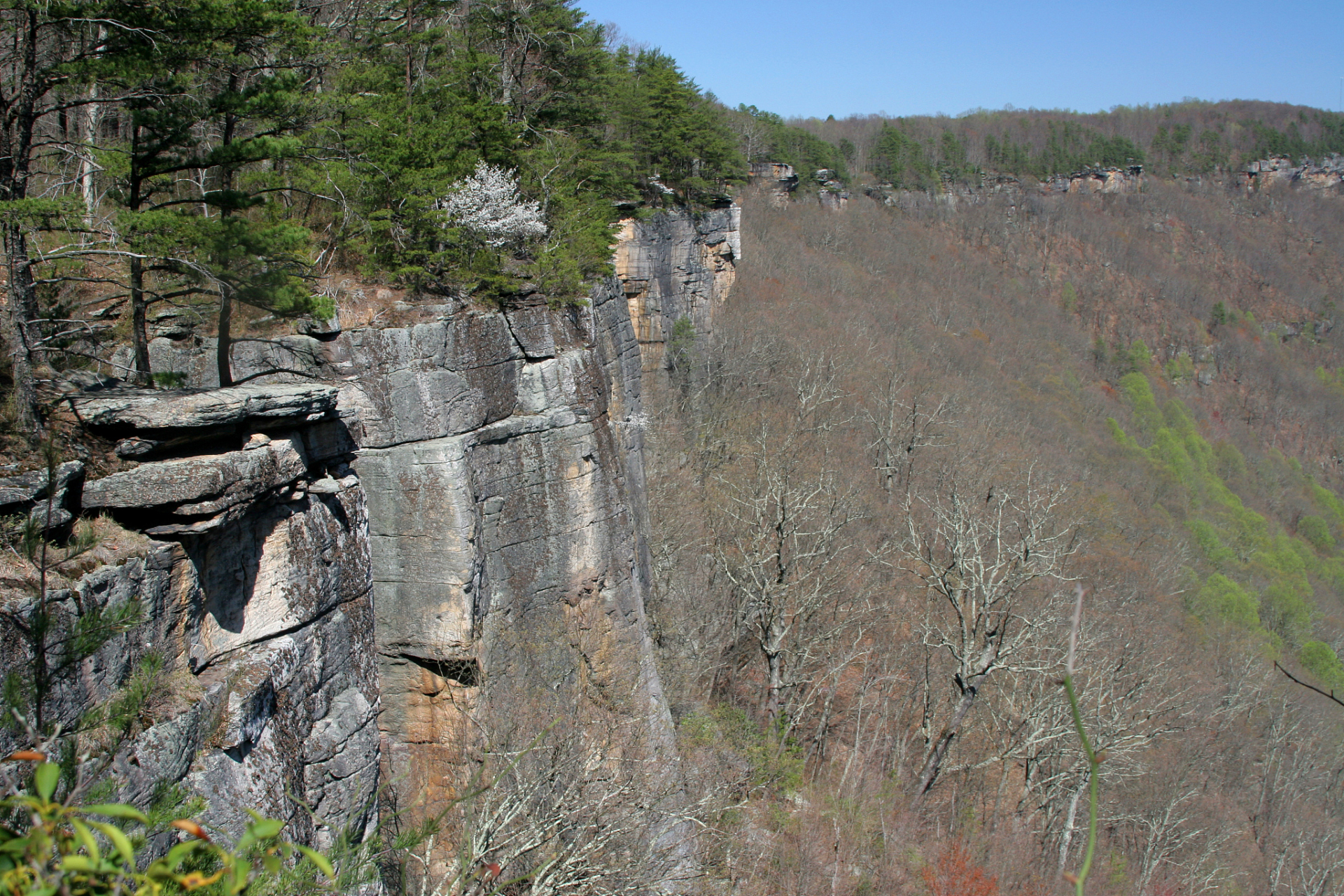 哎呀,朋友们,我最近去了一趟吉林罗通山,简直被那里的美景给迷倒了!罗