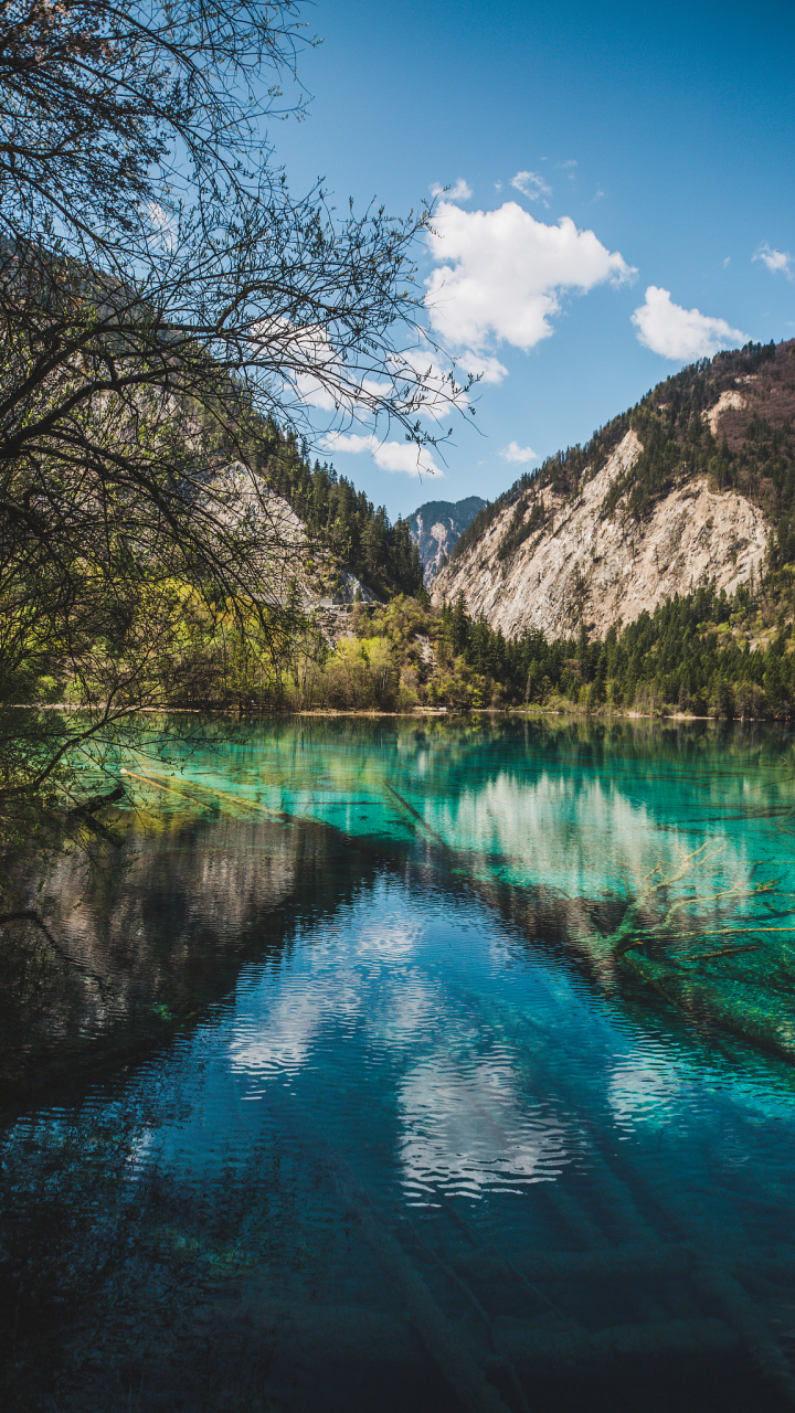 九寨沟镜海:水面平静如镜,映照出九寨沟的美丽与宁静  九寨沟的镜海