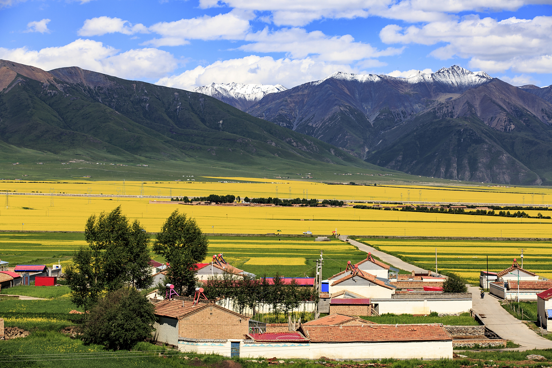 仲夏消暑季#夏天,青海省门源县的草海是最佳的自然旅游胜地.