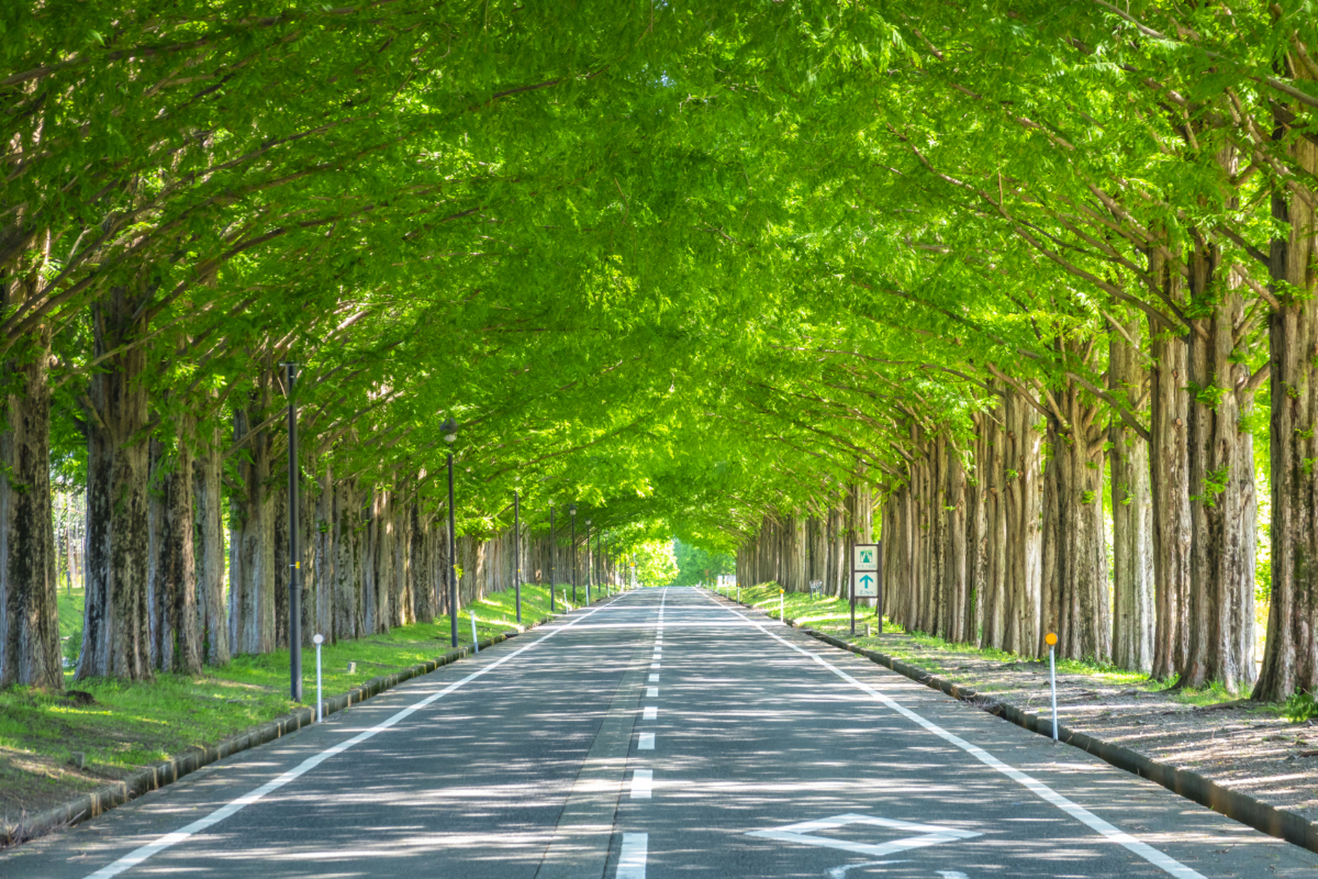 笔直平坦的大道,一眼望去便是终点,心里着实敞亮踏实;曲曲折折的路