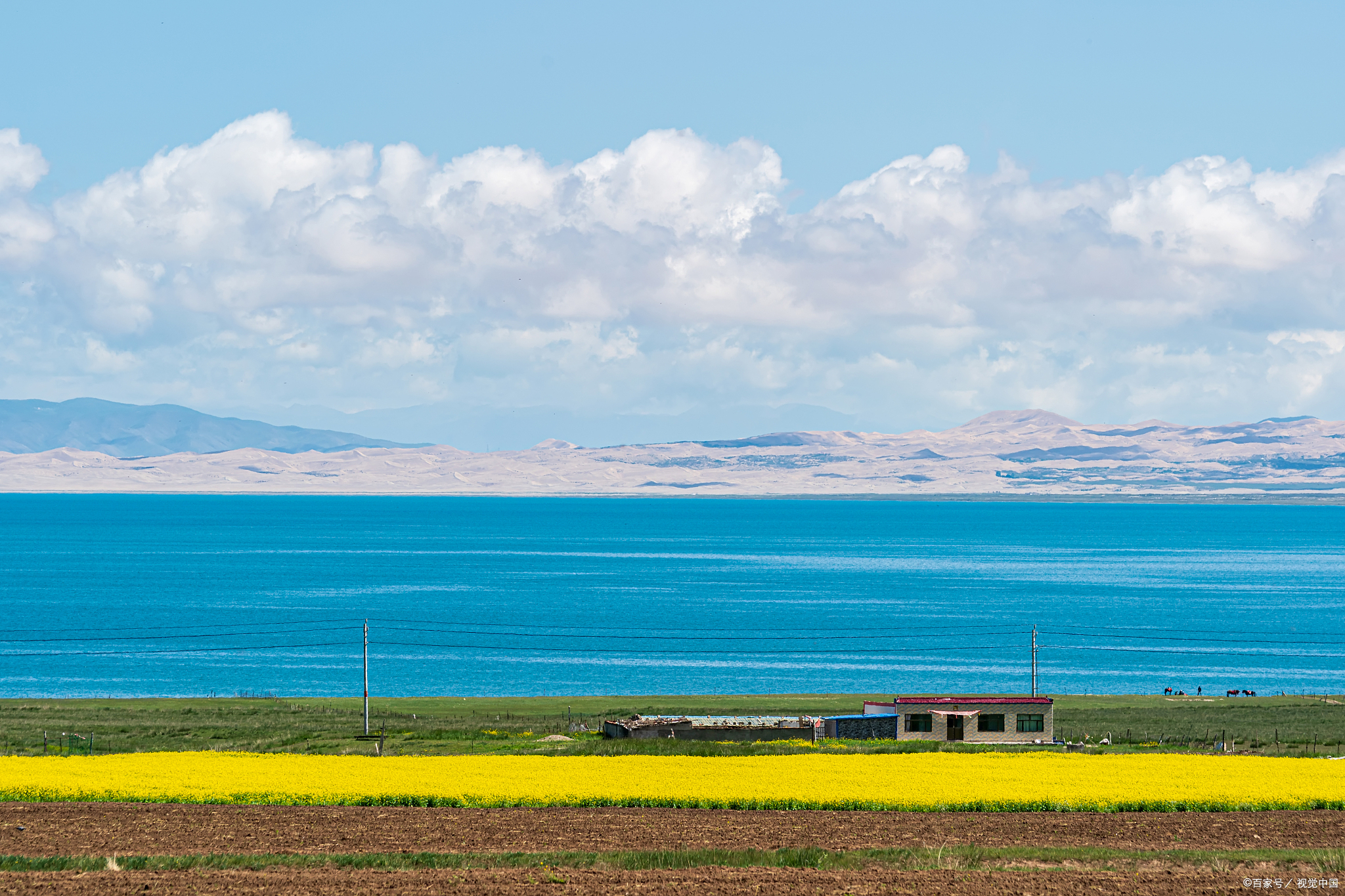 夏季的青海湖平均气温仅15℃左右,湖水清澈,四周被雪山环抱,是天然的