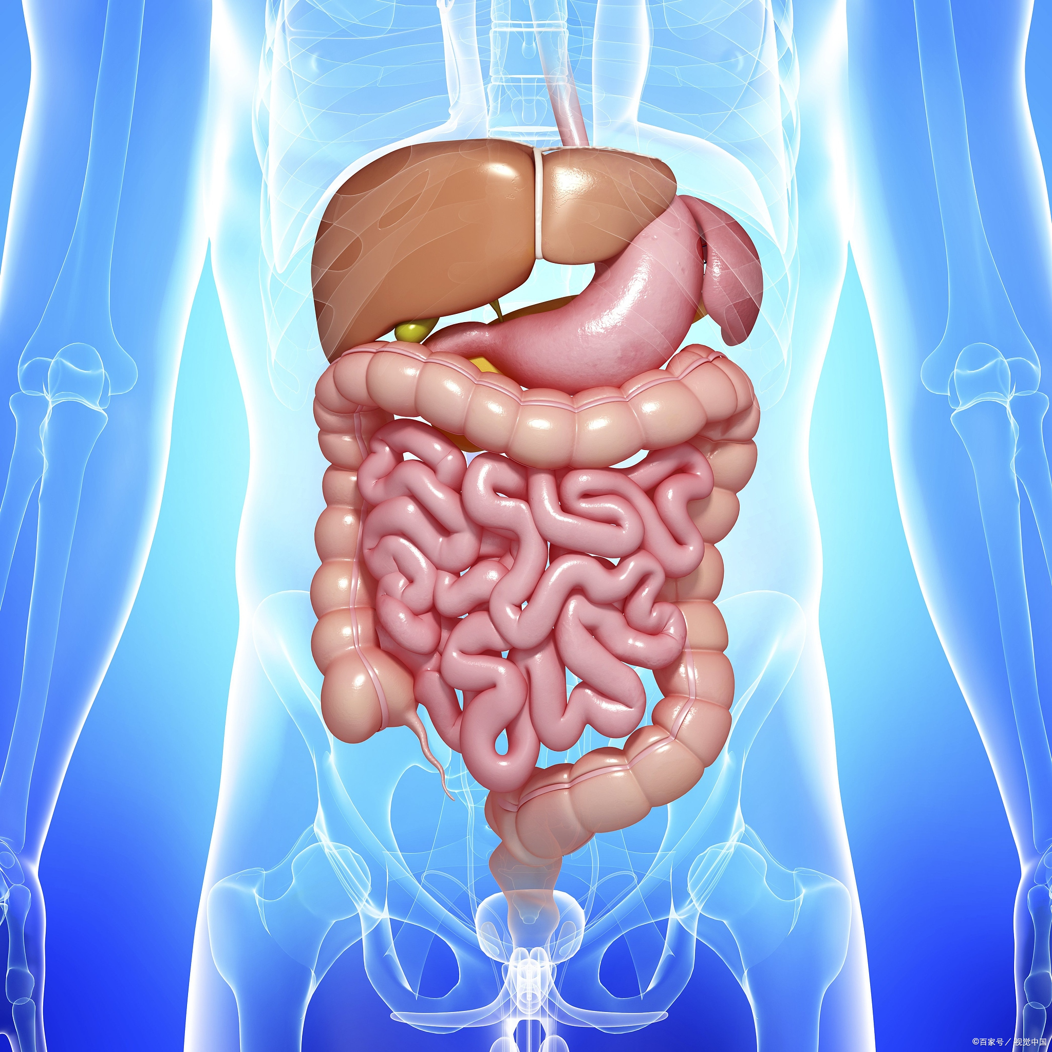 排不出拉不尽,一个中成药帮你清空肠胃, 好几天