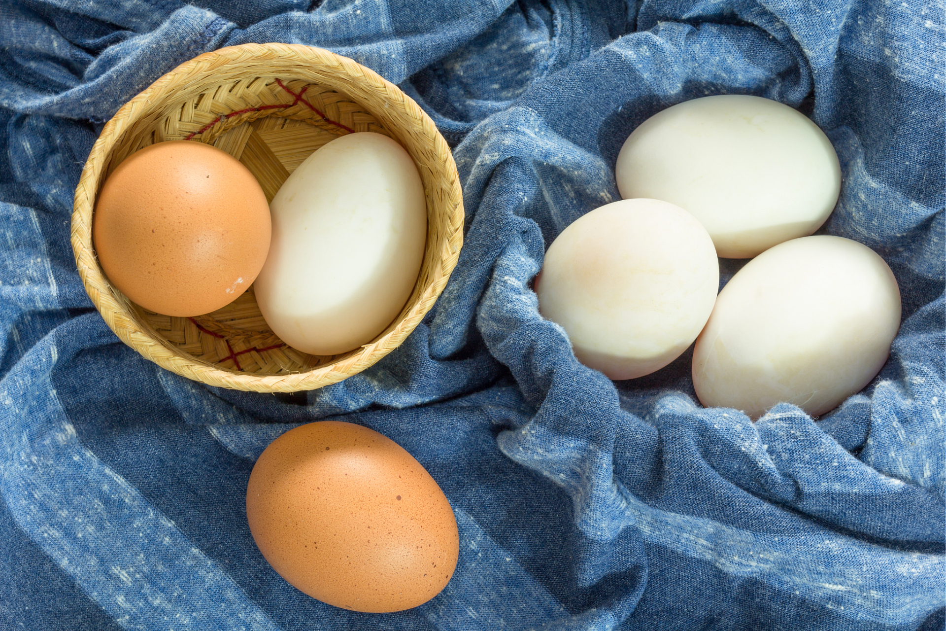蛋类食品是我们日常饮食中的常客,常见的有鸡蛋,鸭蛋,鹅蛋和鹌鹑蛋.
