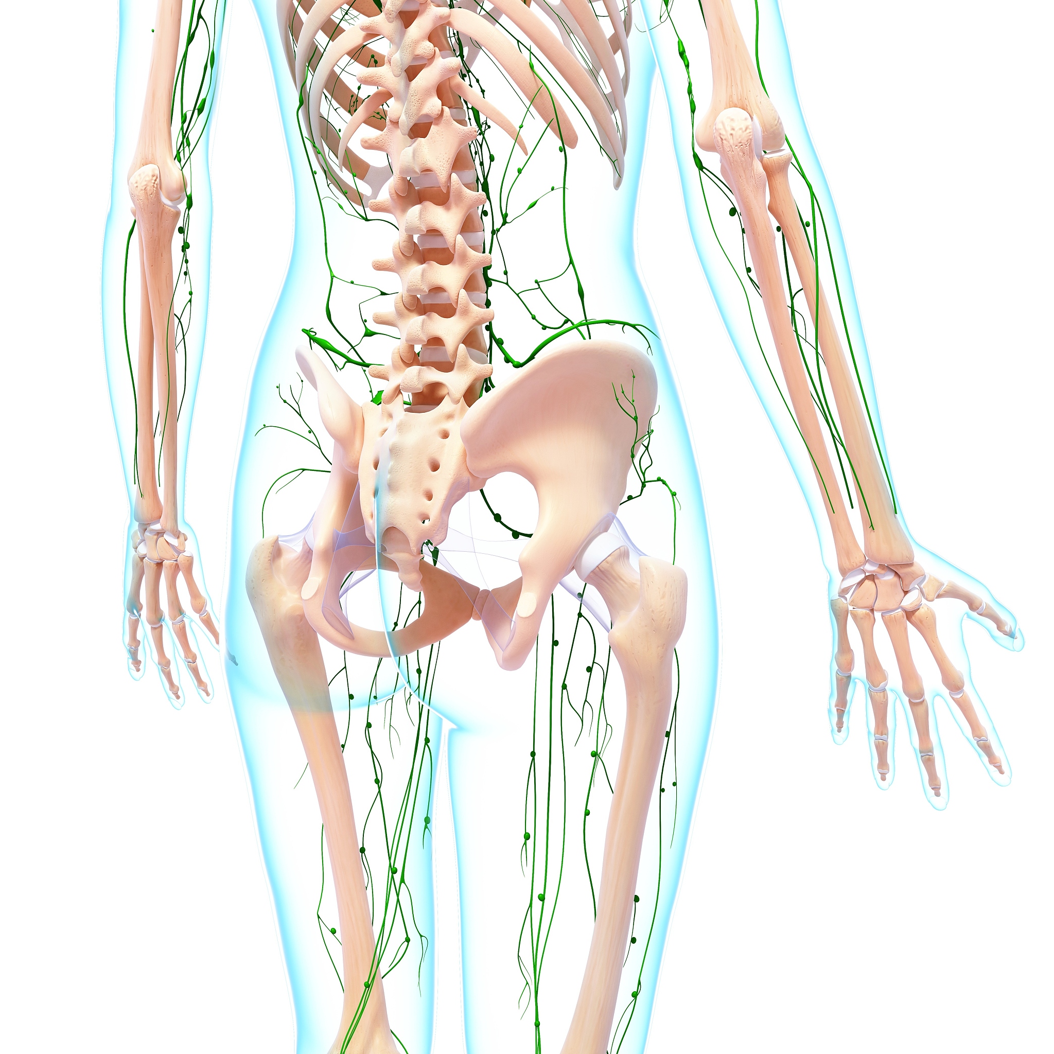 深入解析大腿根部疼痛的原因及应对策略