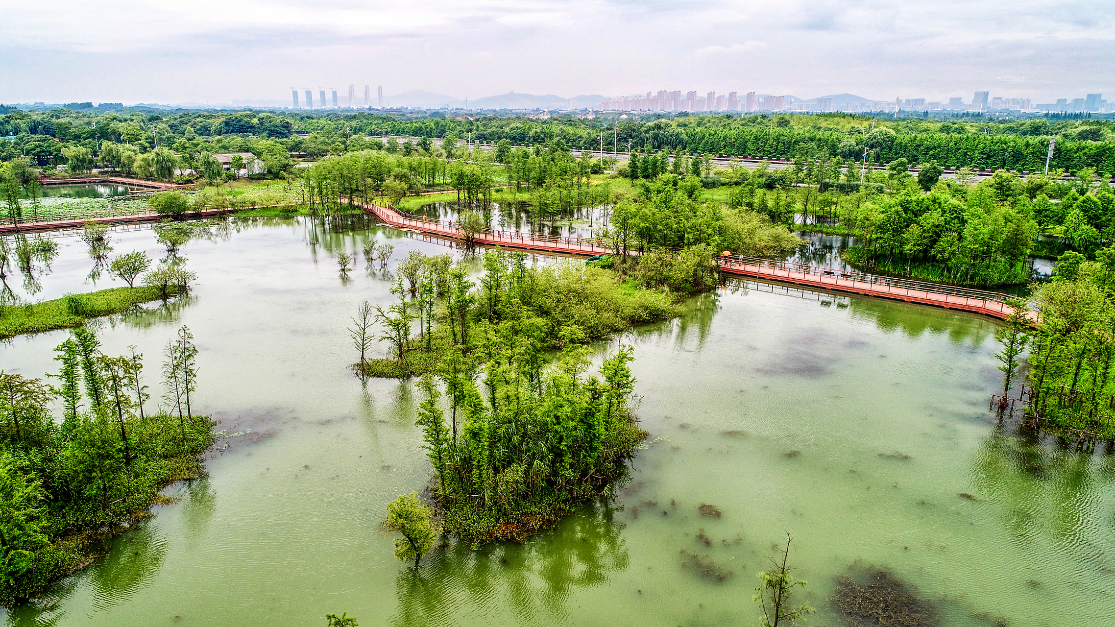 不用出四川,就能观赏国外风光,这里是成都中和湿地公园.