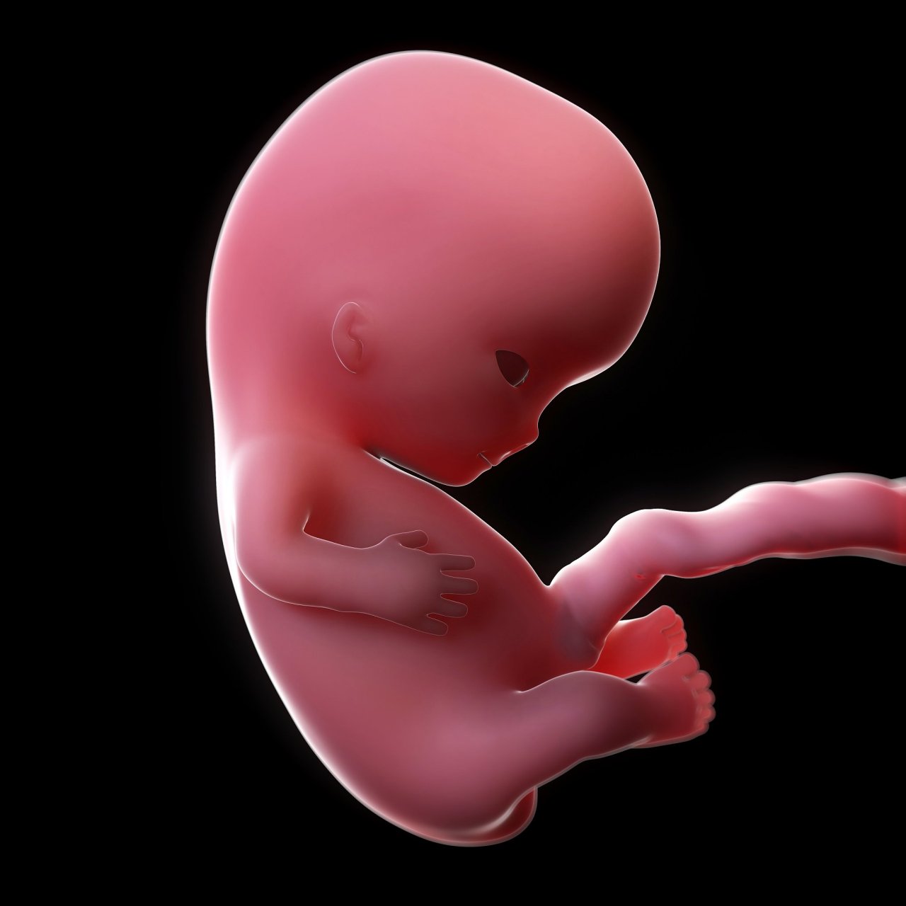 对于有些私人交易的胎盘,其处理方法往往是冻干(还可能会生吃)以保持