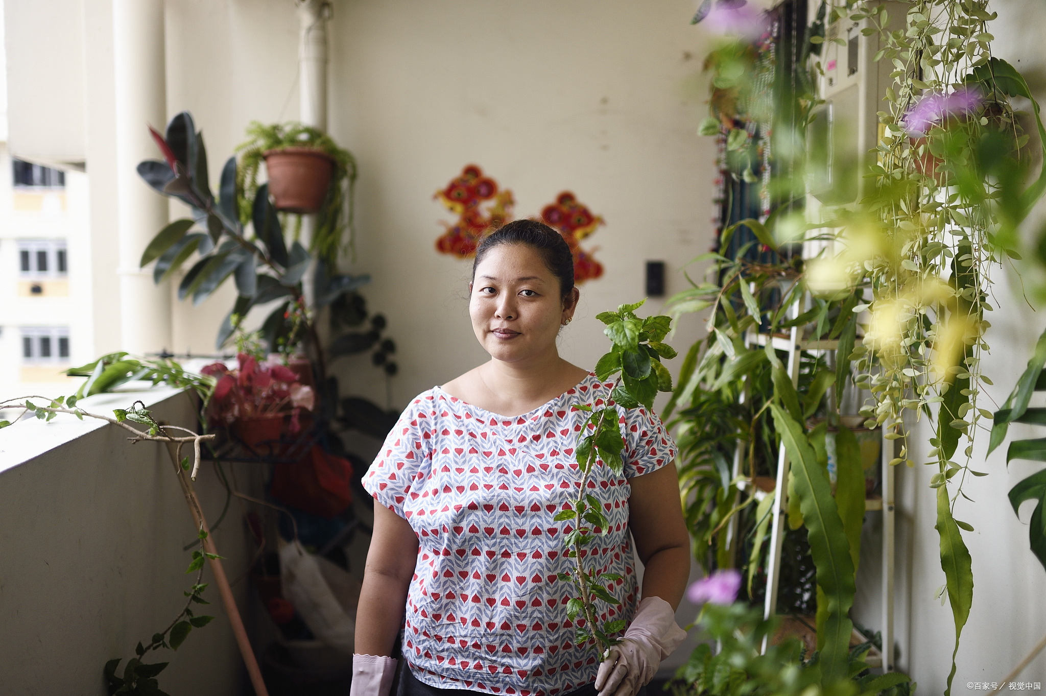 老家邻居娶了儿媳妇,彩礼18