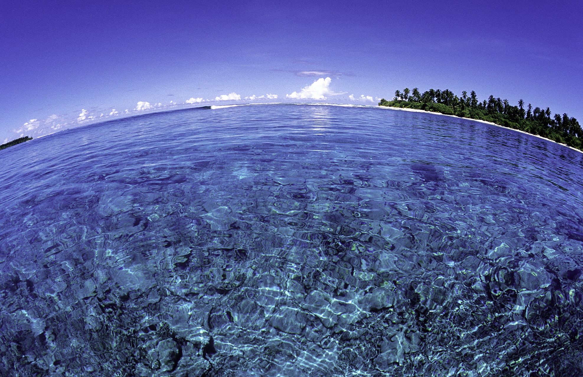 我们占据了三分之一的大地,另外的三分之二还在不断地通过各种方式被