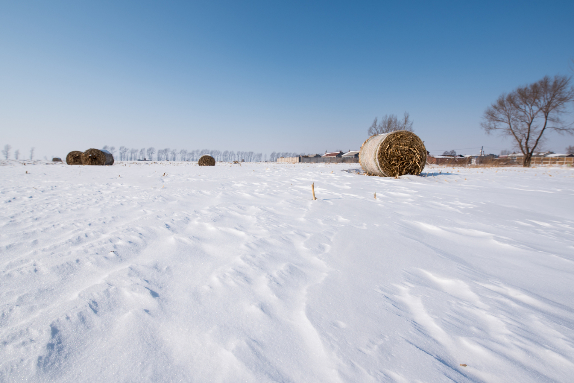 东北冬天的奇幻日常#   在中国的东北部,冬天的景色和日常生活的氛围