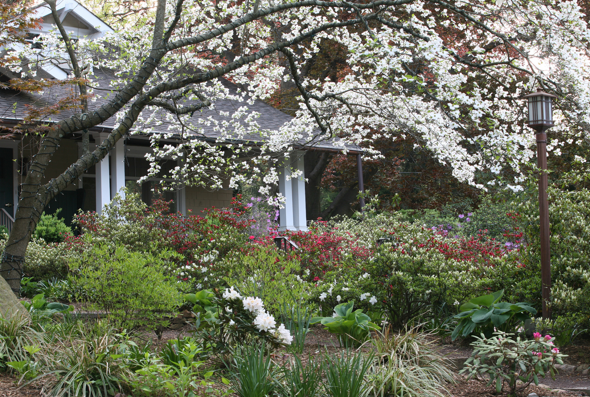 杭州市植物园位于浙江省杭州市西湖区,是一处集科研,科普,休闲为一体