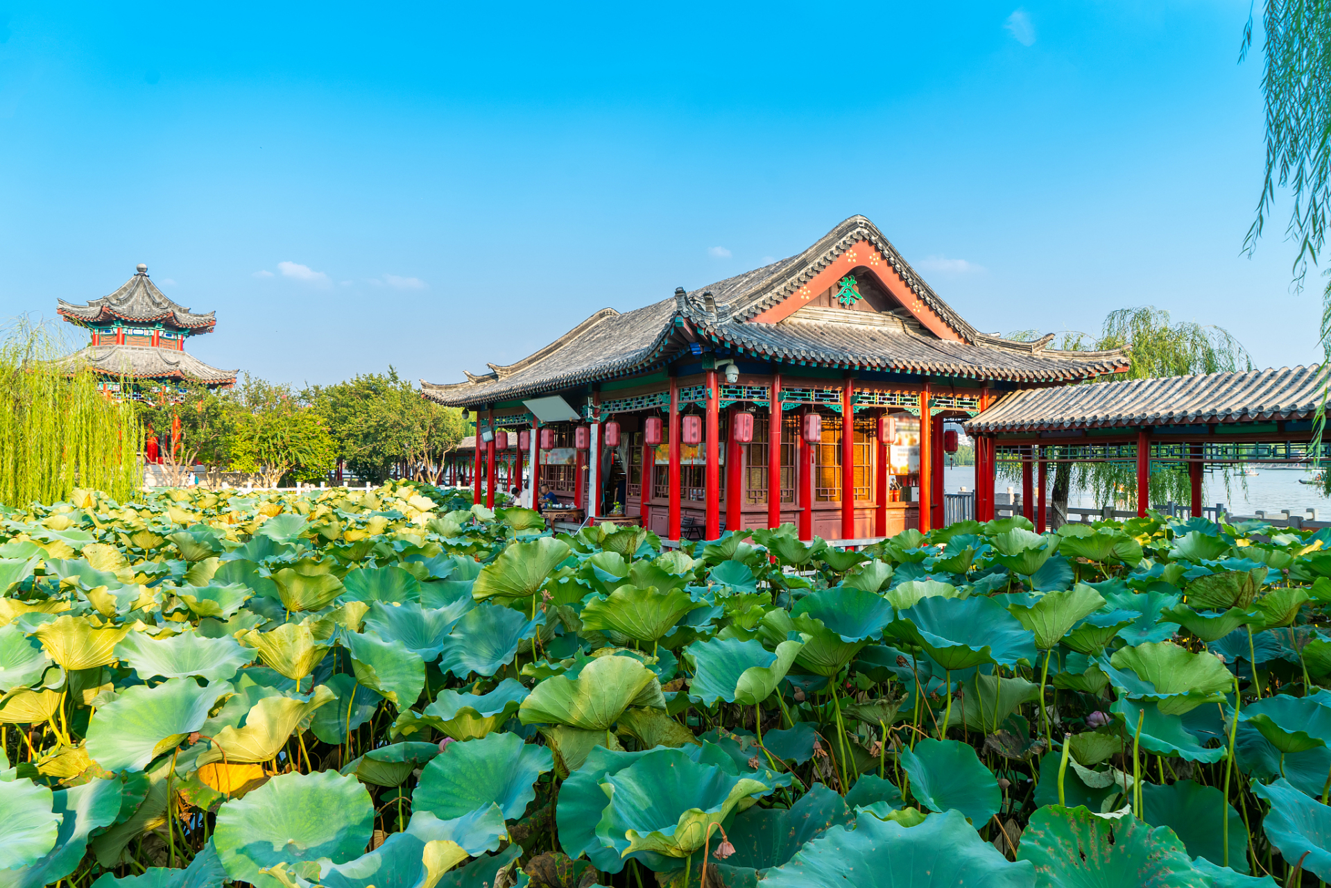 欢迎来到济南的大明湖畔,这里是一个充满历史和文化的旅游胜地.