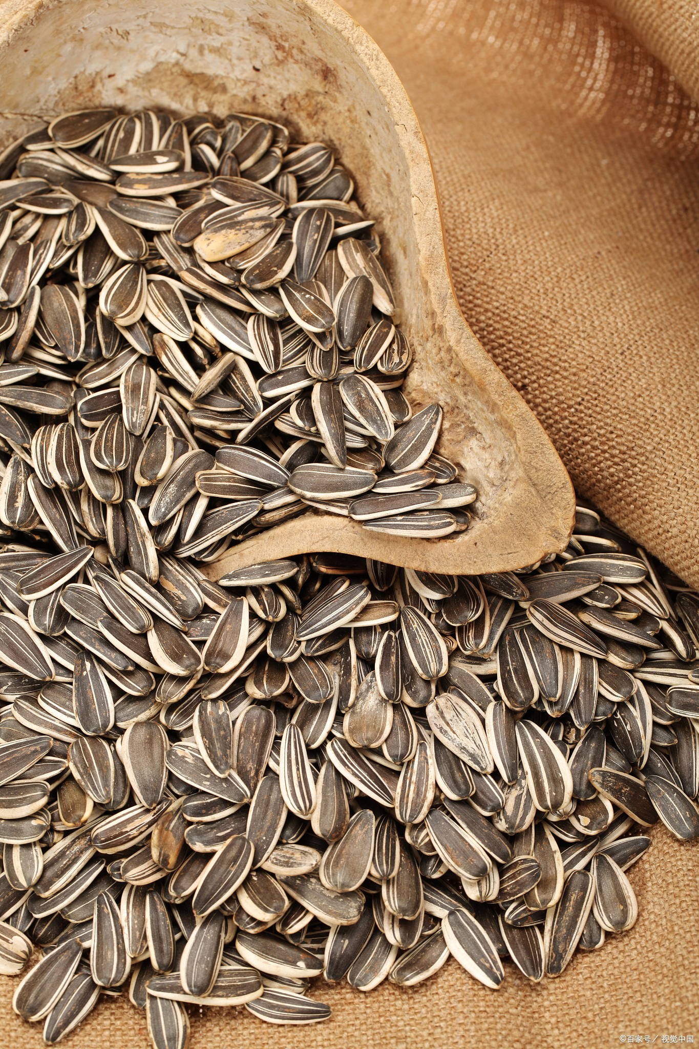 血糖高的人能吃芝麻油吗(血糖高的人能吃芝麻油吗百度百科) 血糖高的人能吃芝麻油吗(血糖高的人能吃芝麻油吗百度百科)