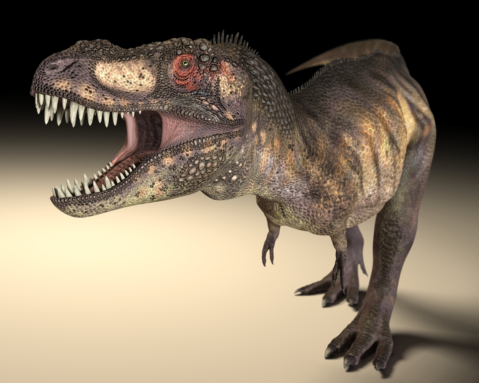 霸王龙,史上最大的草食性恐龙之一!