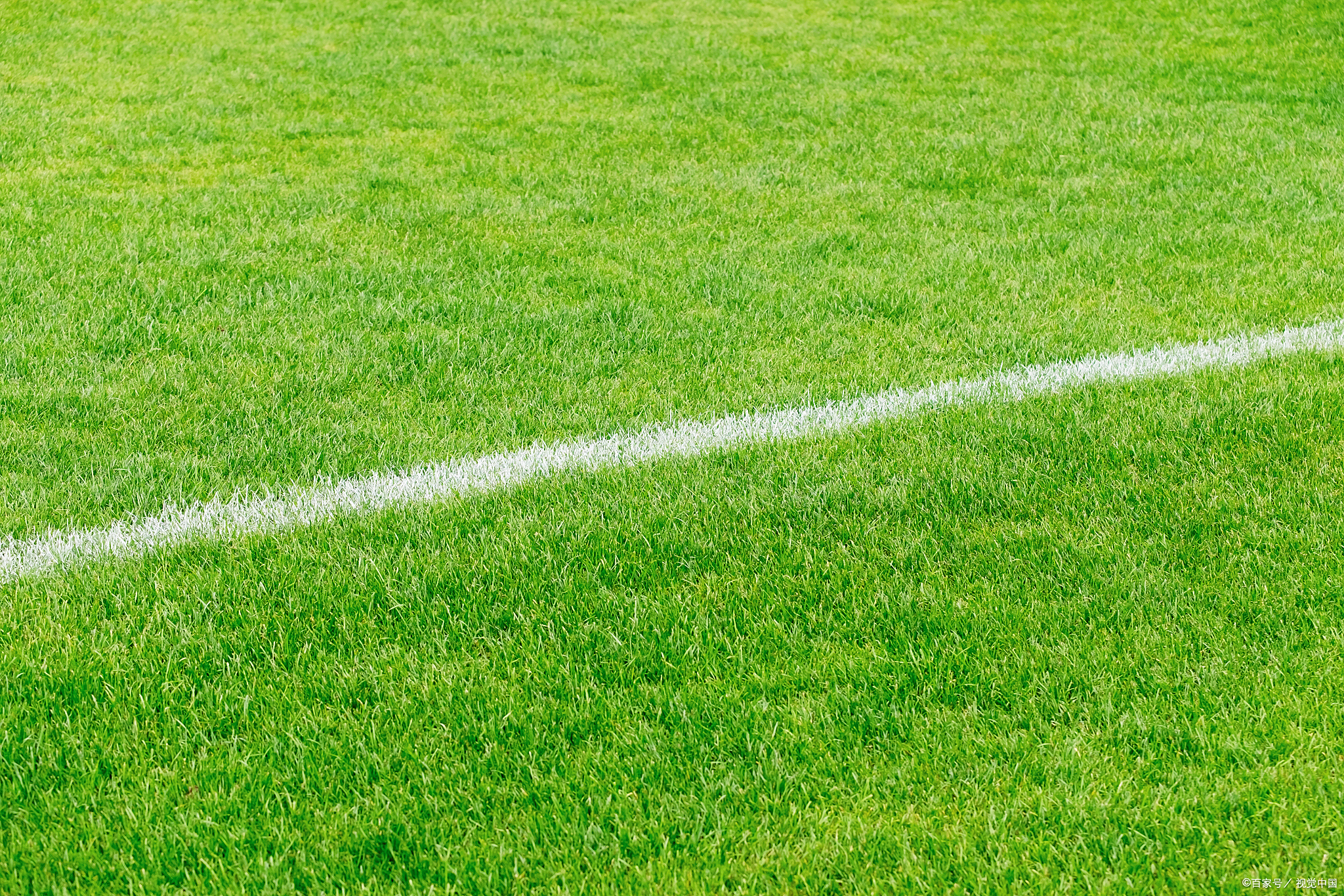 绿茵场照片高清足球草坪图片茵茵绿草地的操场体育场绿草坪背景绿茵场