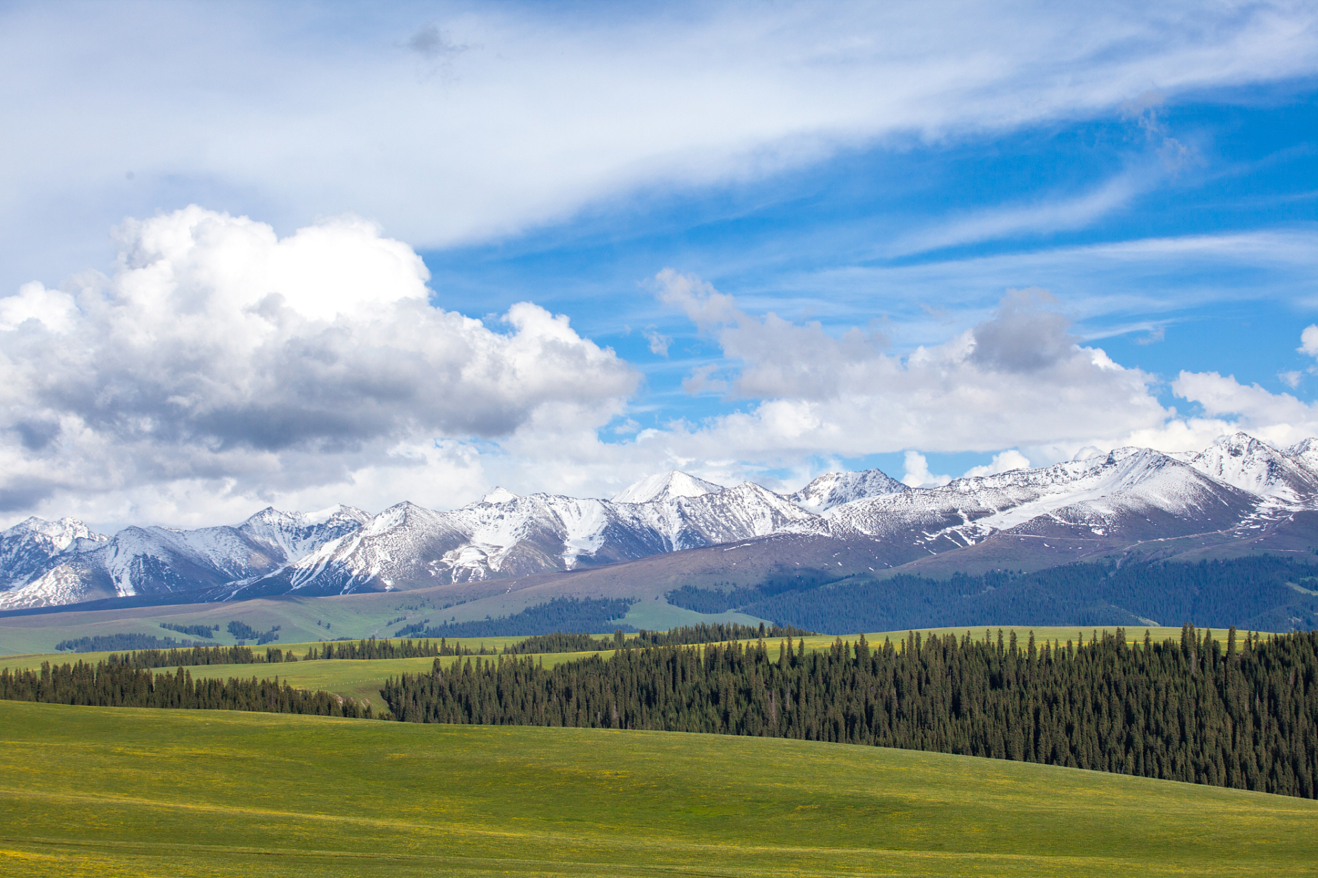 新疆之气候五月天山雪,无花只有寒;"北风卷地白草折,胡天八月即飞雪"