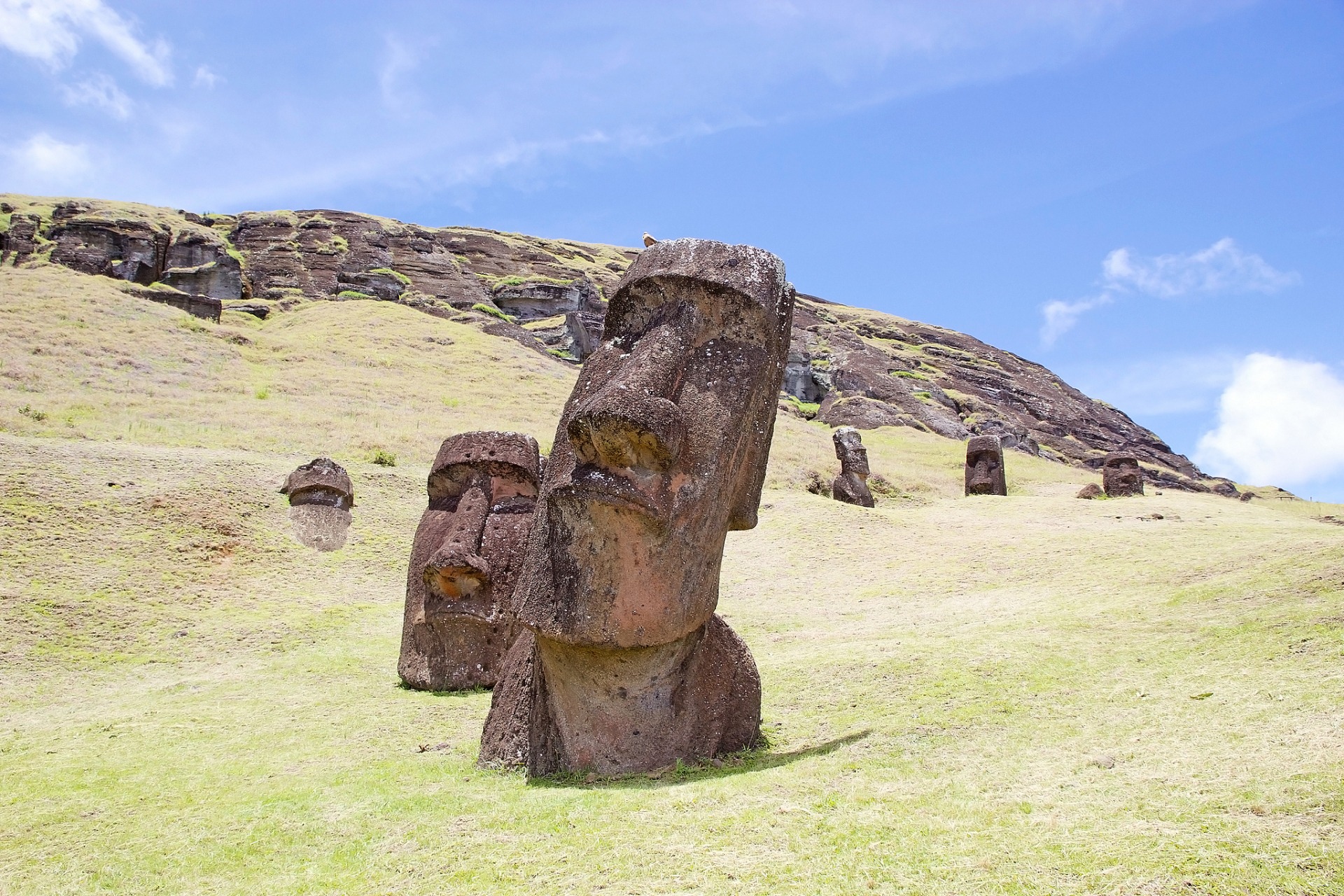 复活节岛上的石像,有很大一部分是埋在土里的,石像后背还有很多至今