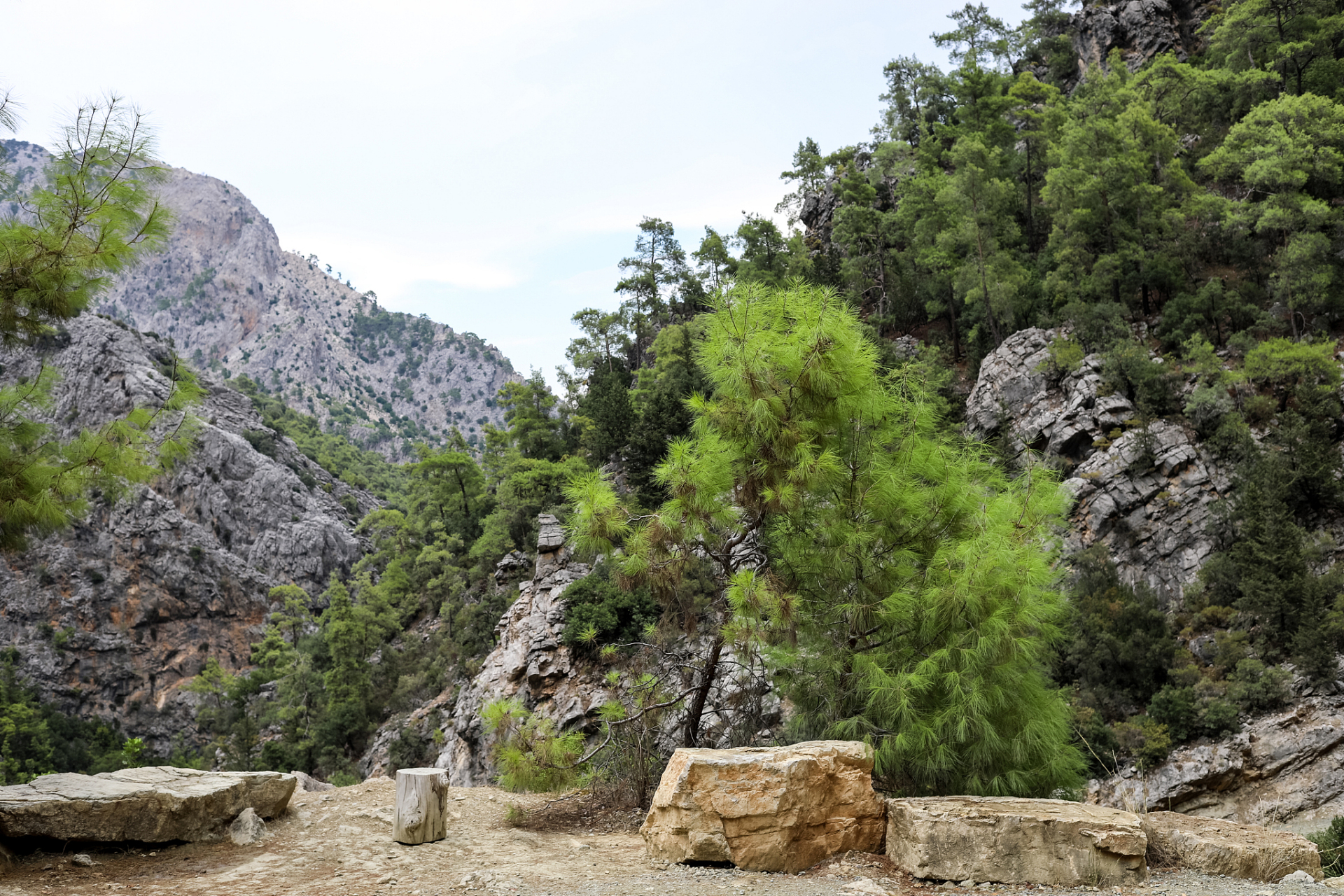 苏峪口国家森林公园是一个集自然保护,旅游观光,科学研究,科普教育为