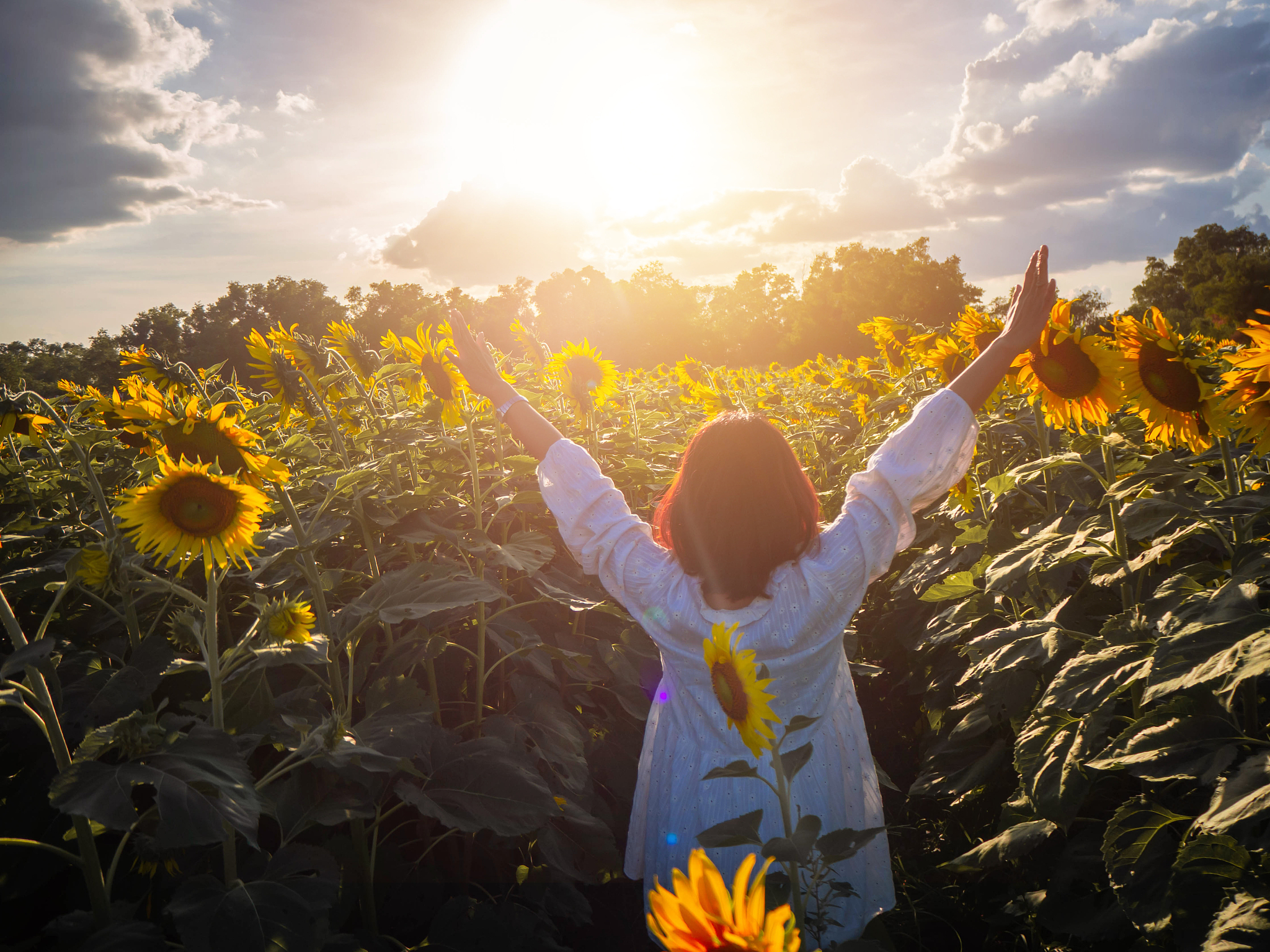 在夏天,生活不只有空调和wi