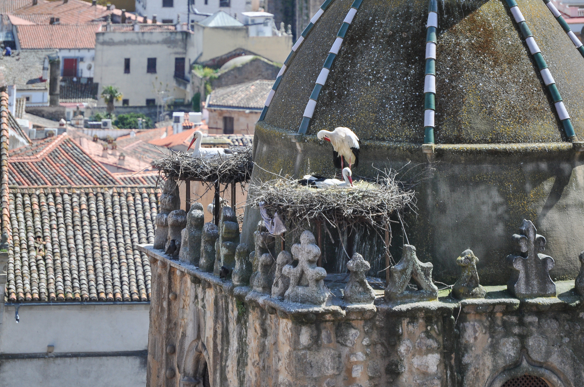 泉州蟳埔村,这个位于福建的古老渔村,以其独特的文化风情吸引了无数