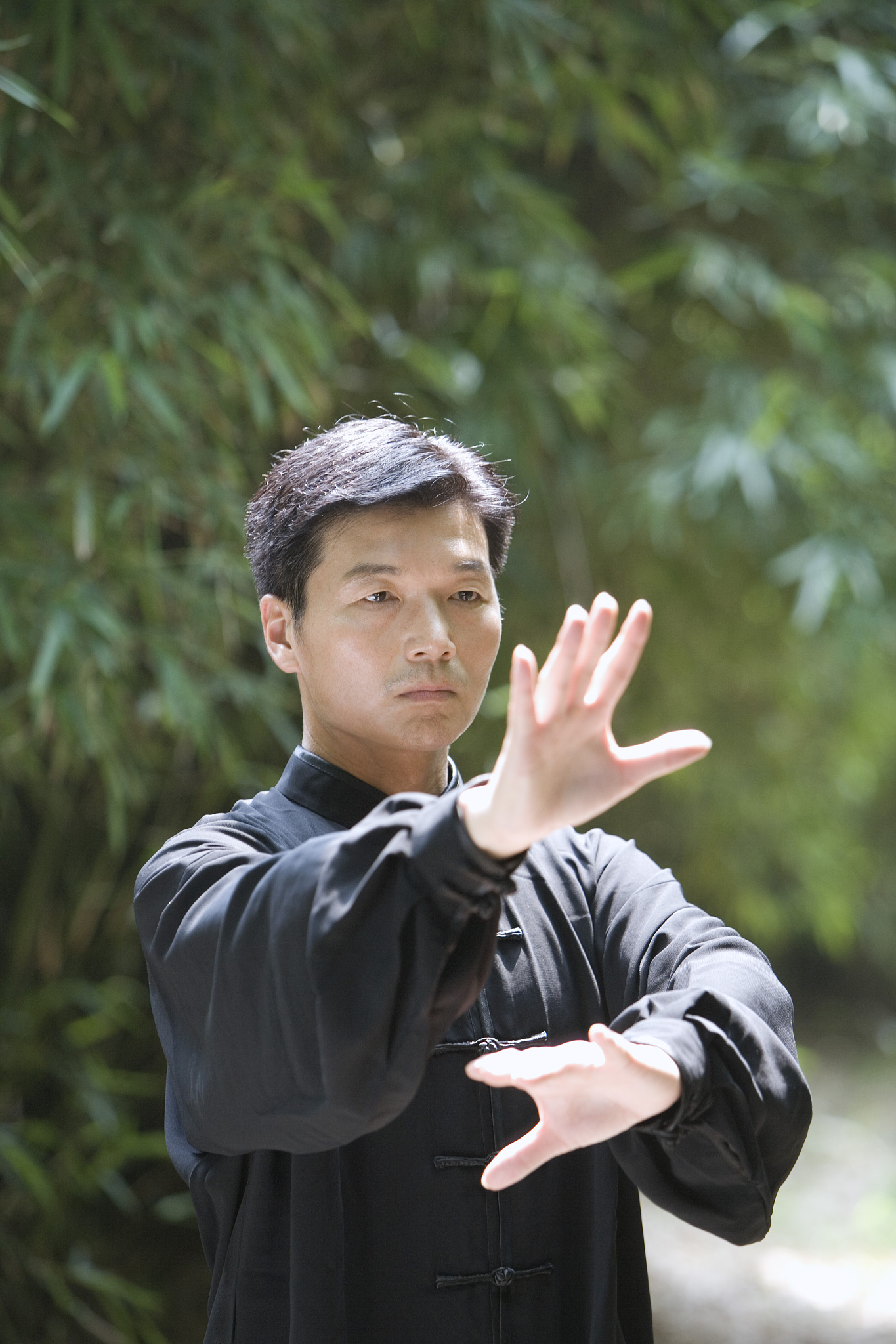 咏春小念头 7.上摊手下切掌 8.正膀手