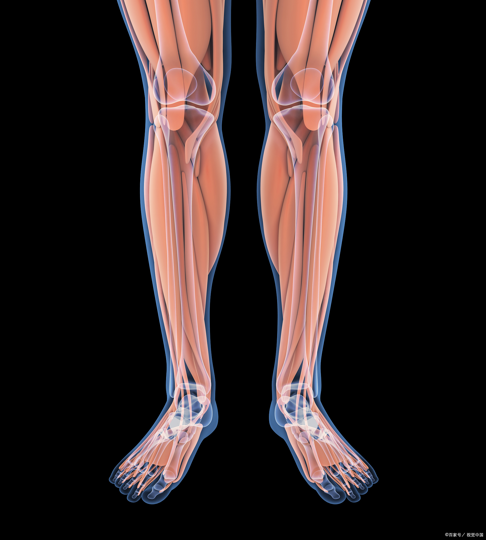 下肢深静脉血栓绝对禁止按摩!