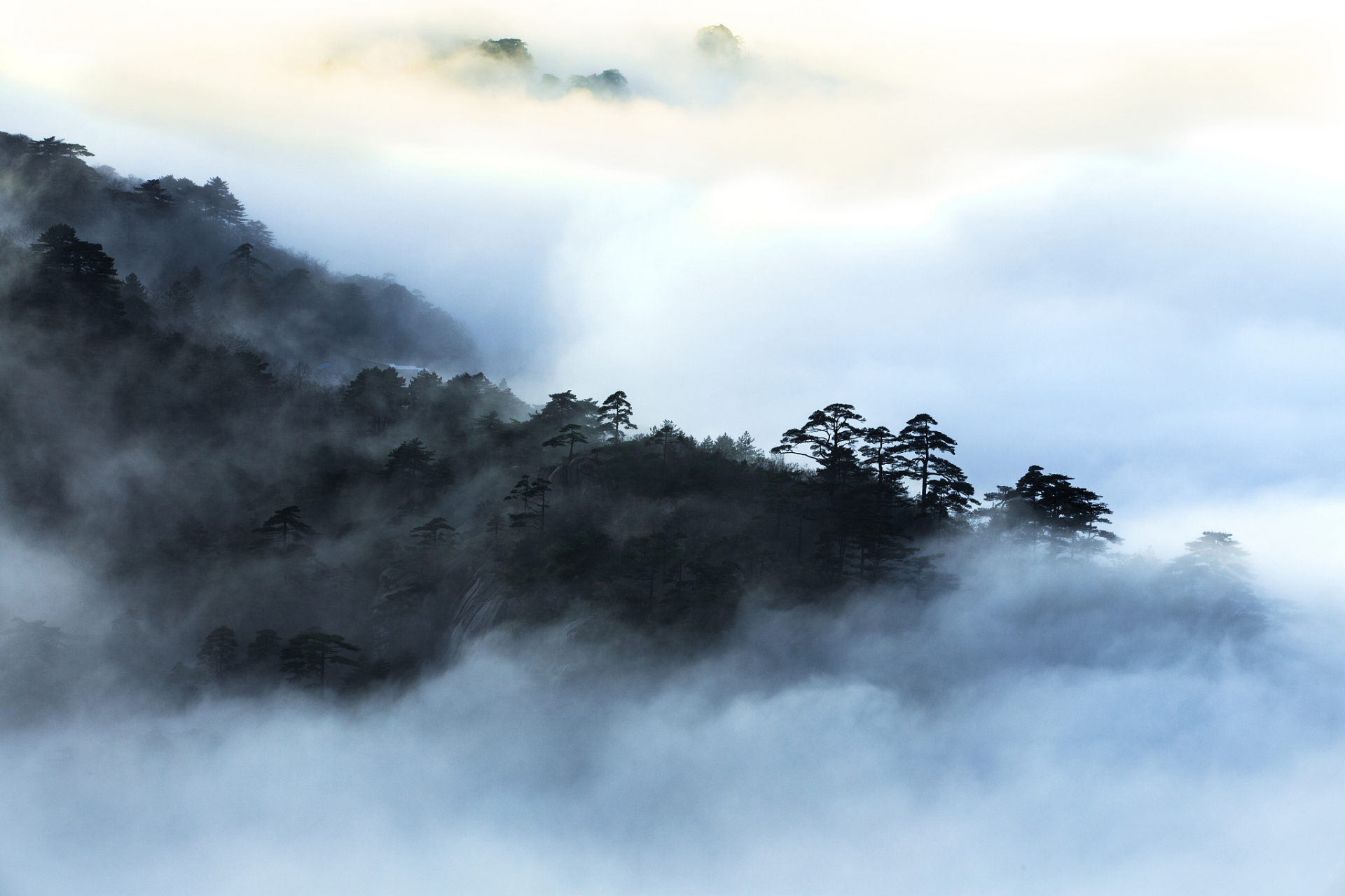 黄山云雾图片