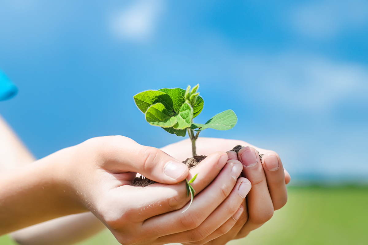 每次一桶油用完,我都会把油桶倒扣在碗上,直到控得一干二净,呵护心灵