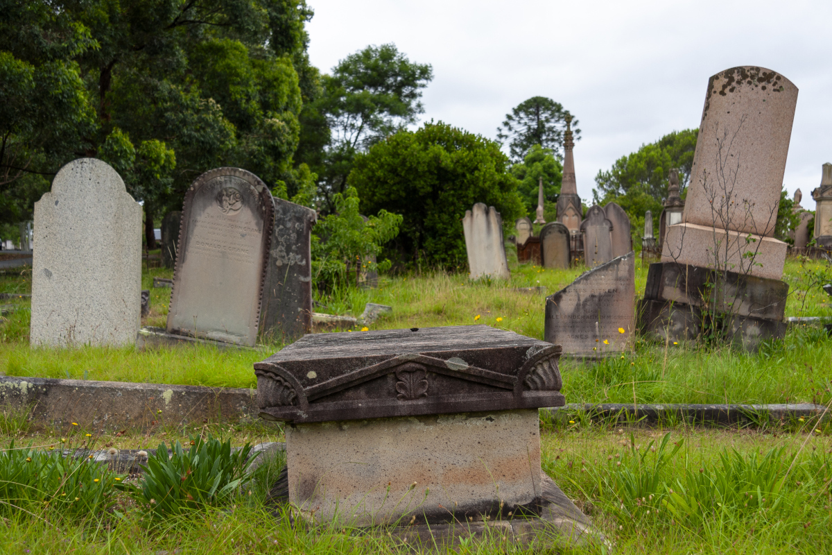 惊!侄子杨小伟因叔叔生前的一句气话,竟掘墓取走棺材底板并抛入河中