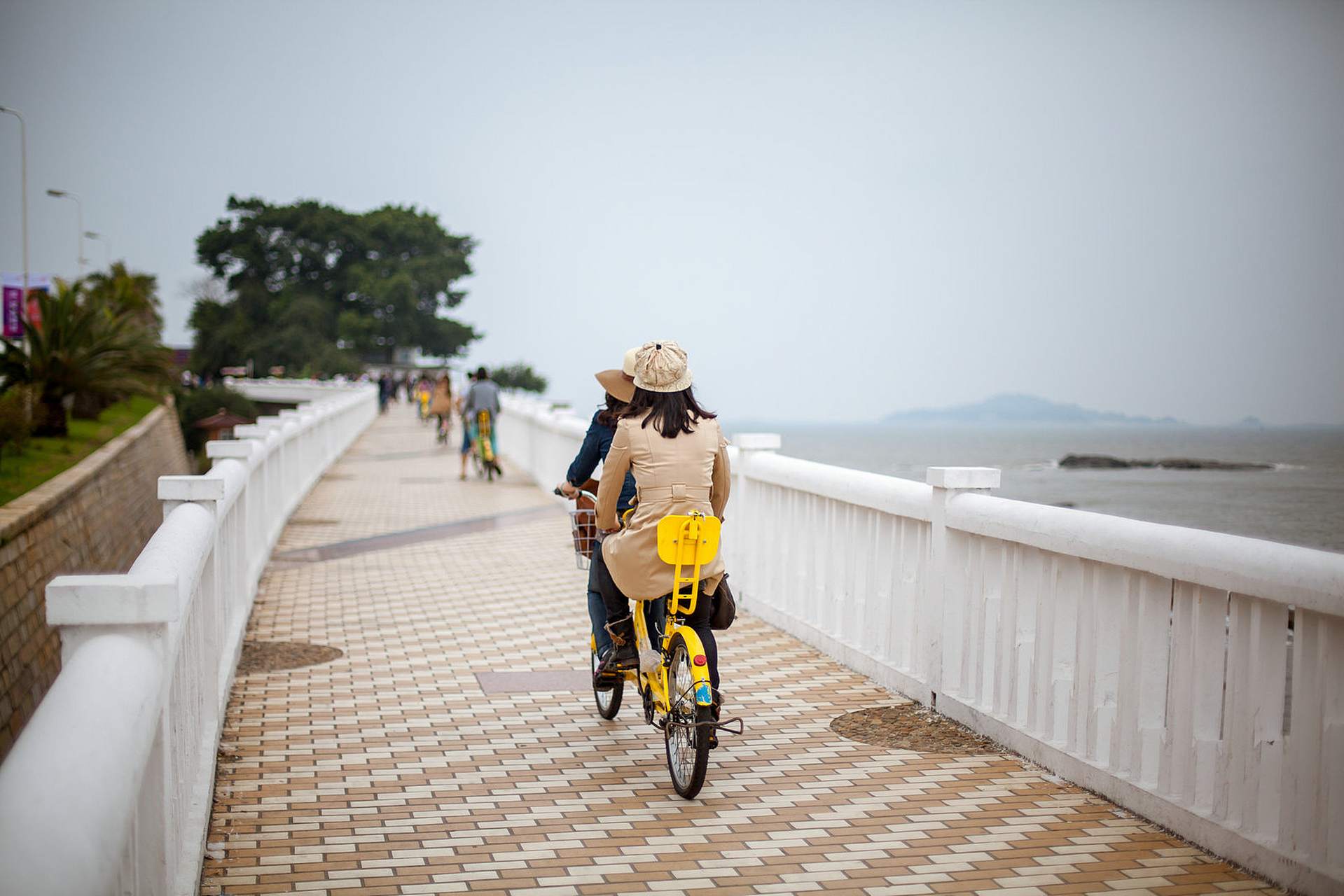 厦门环岛路骑行图片