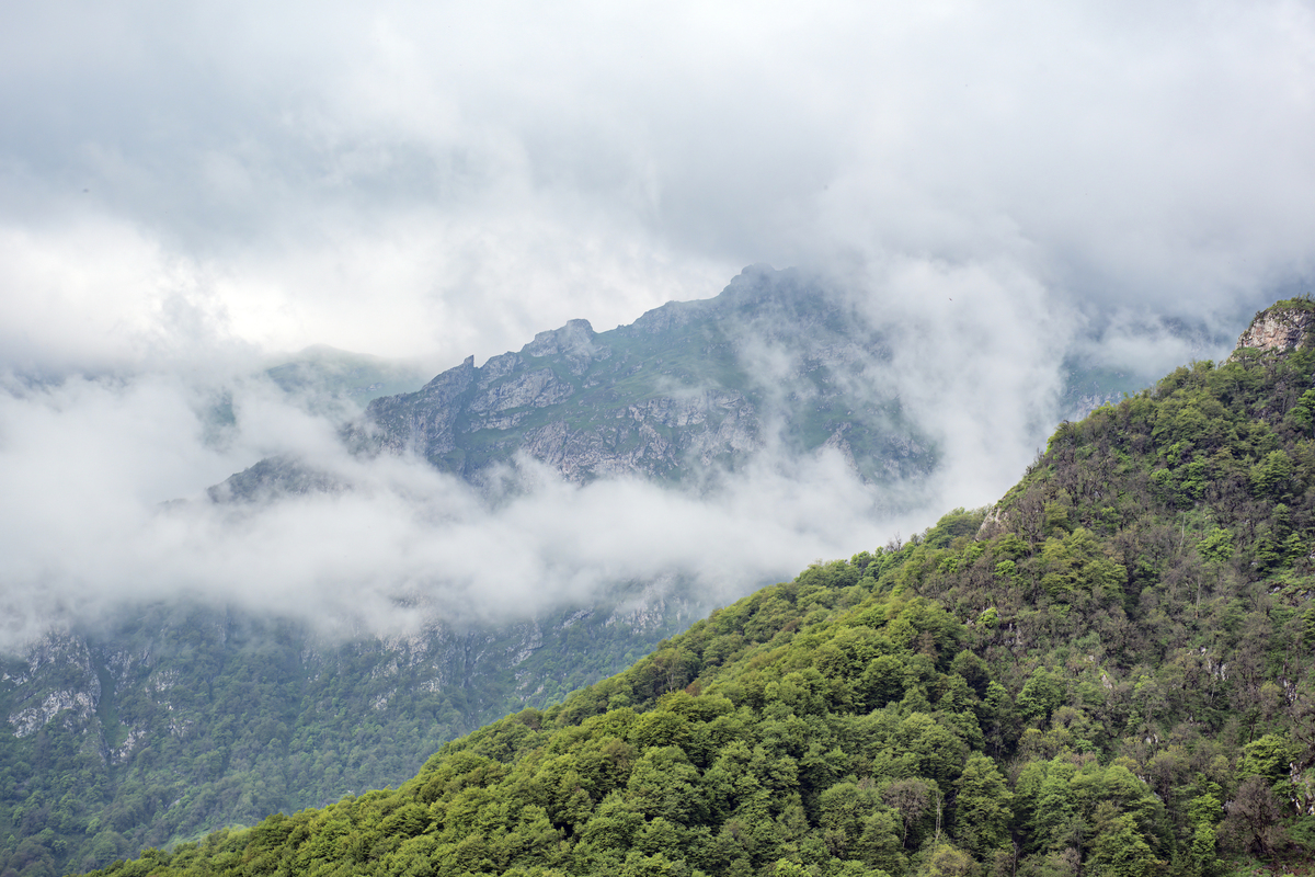 四川雅安光头山:贡嘎群峰的野性观景台