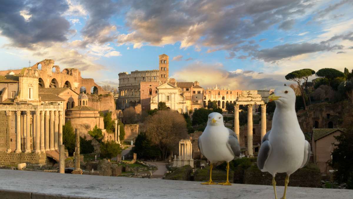 意大利罗马与梵蒂冈旅游攻略