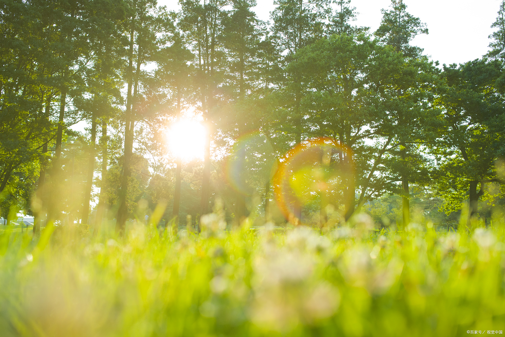 我用时间秤自己的重量,然后数落自己的肤浅与狂妄.