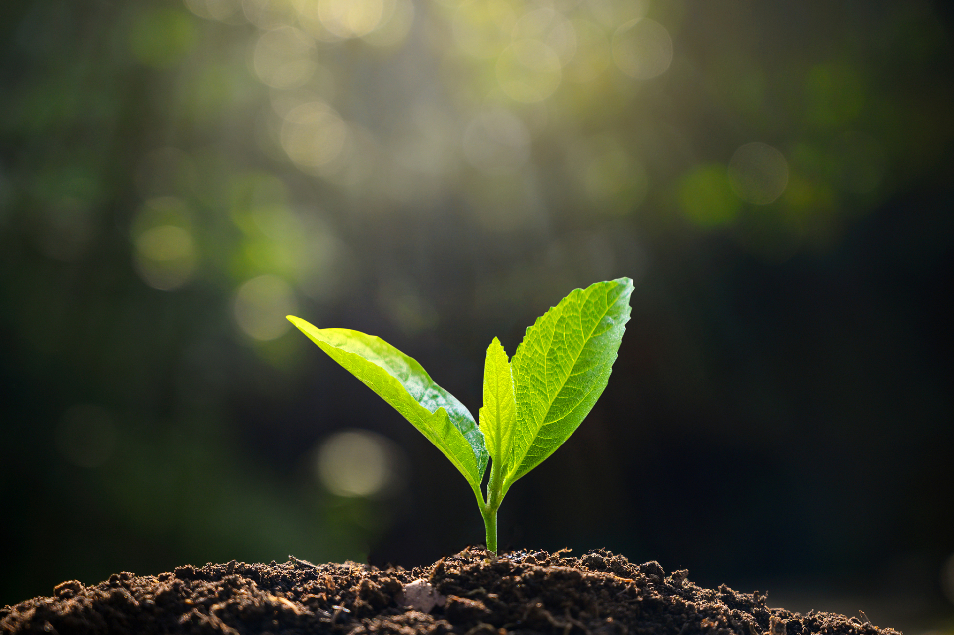 好好活着是一种状态 天地造化赋予人一个生命的形体,让我们劳碌度过