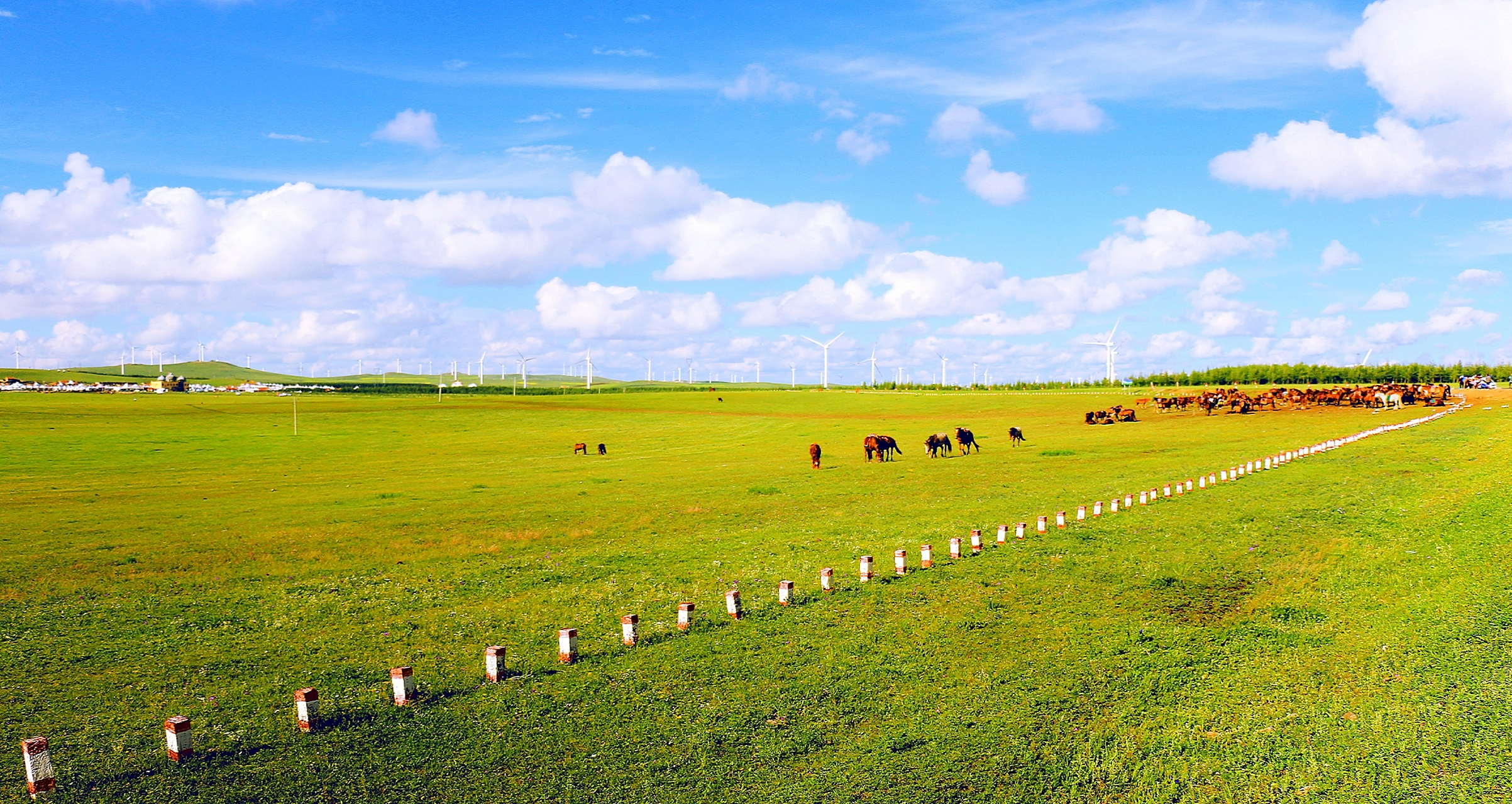 是大自然的艺术品,有着丰富的生态系统和壮丽的自然景观