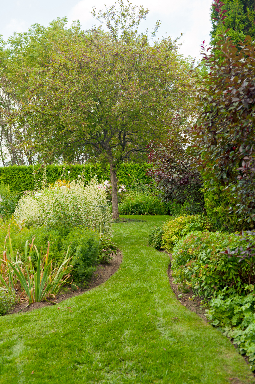 广东省实验室委托进行环湖景观绿化工程竞争性磋商采购,供应商需符合