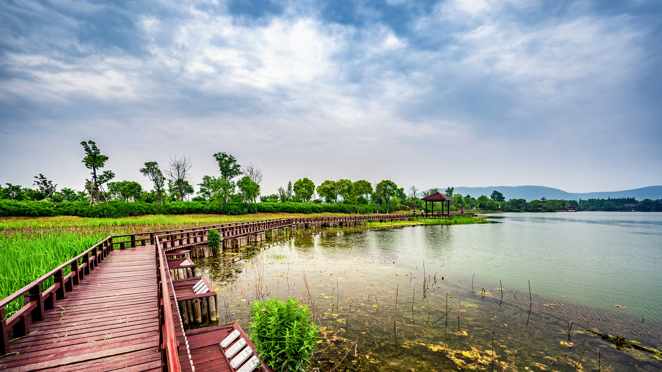 南昌瑶湖郊野森林公园图片