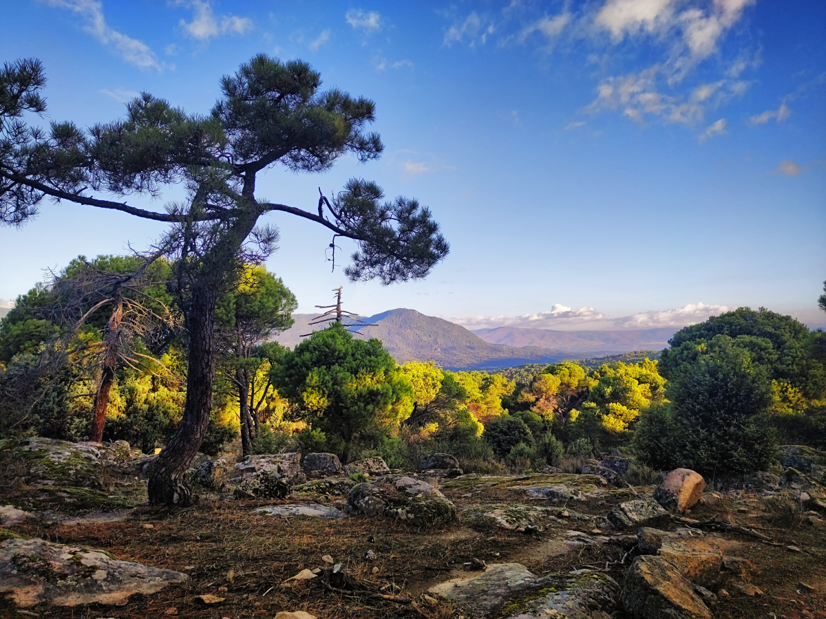 陕西·榆林府谷杜松自然保护区   榆林府谷杜松自然保护区,位于陕西