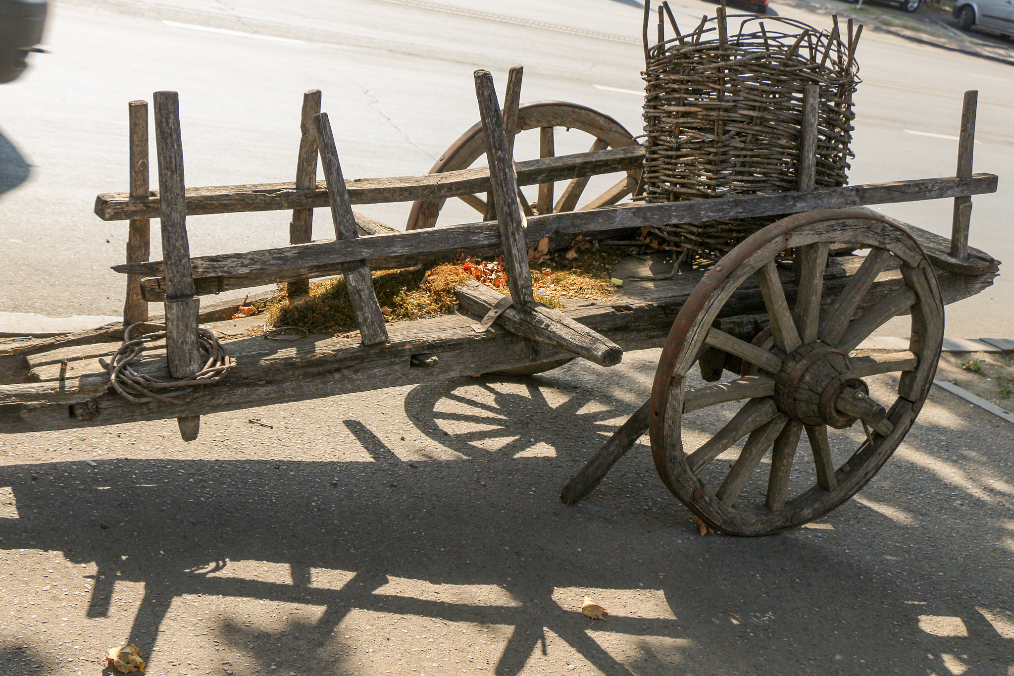 这次不仅有震撼的文物展览,更有让人眼前一亮的3000多年前的神秘人力