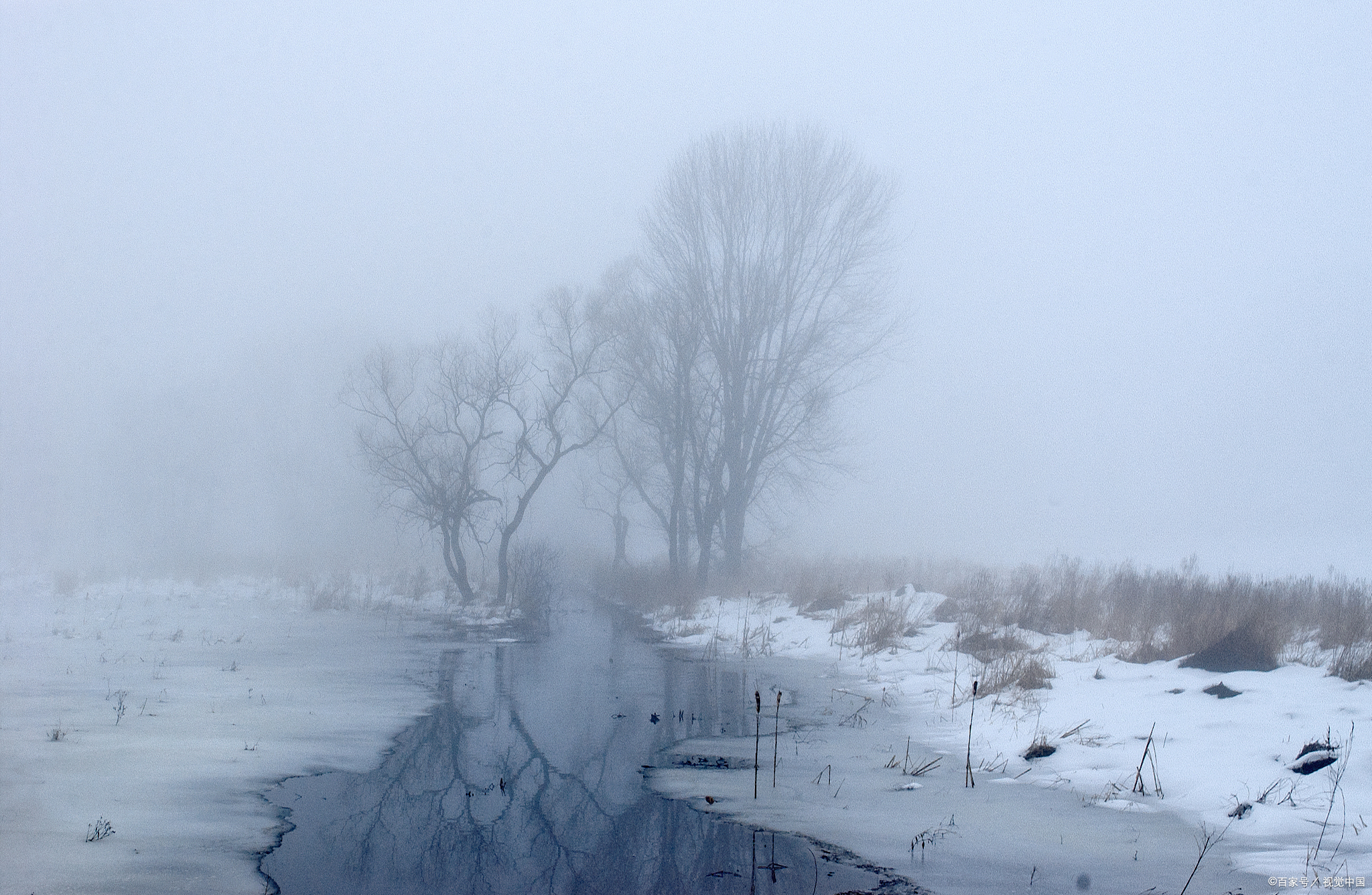 苍茫大地白雪皑皑图片