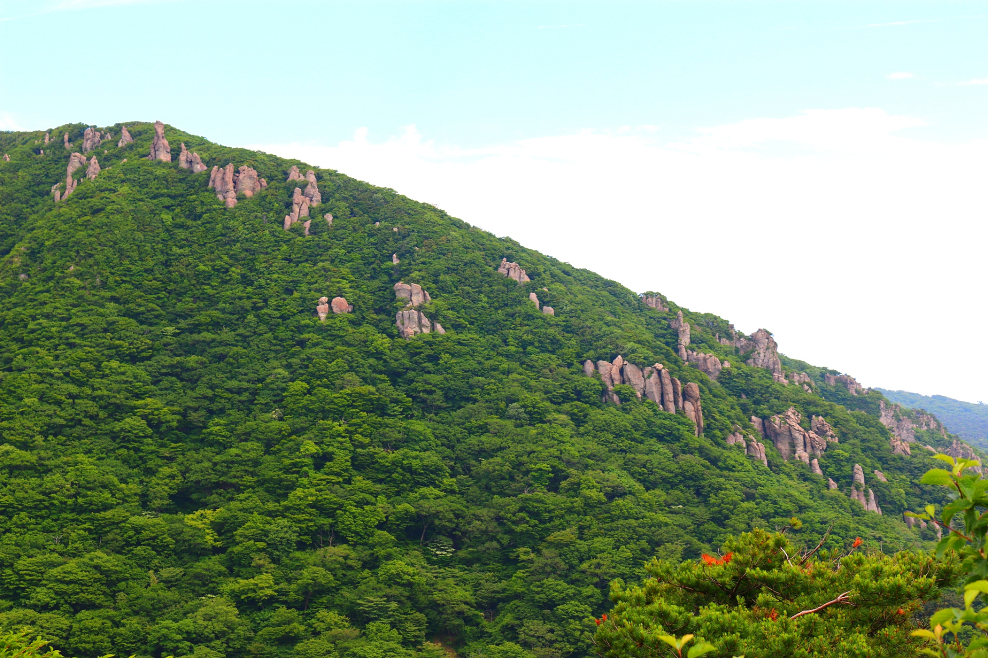 奔赴春天的旅行# 春游福寿山位于伊犁哈萨克自治州的大西沟,是一讣