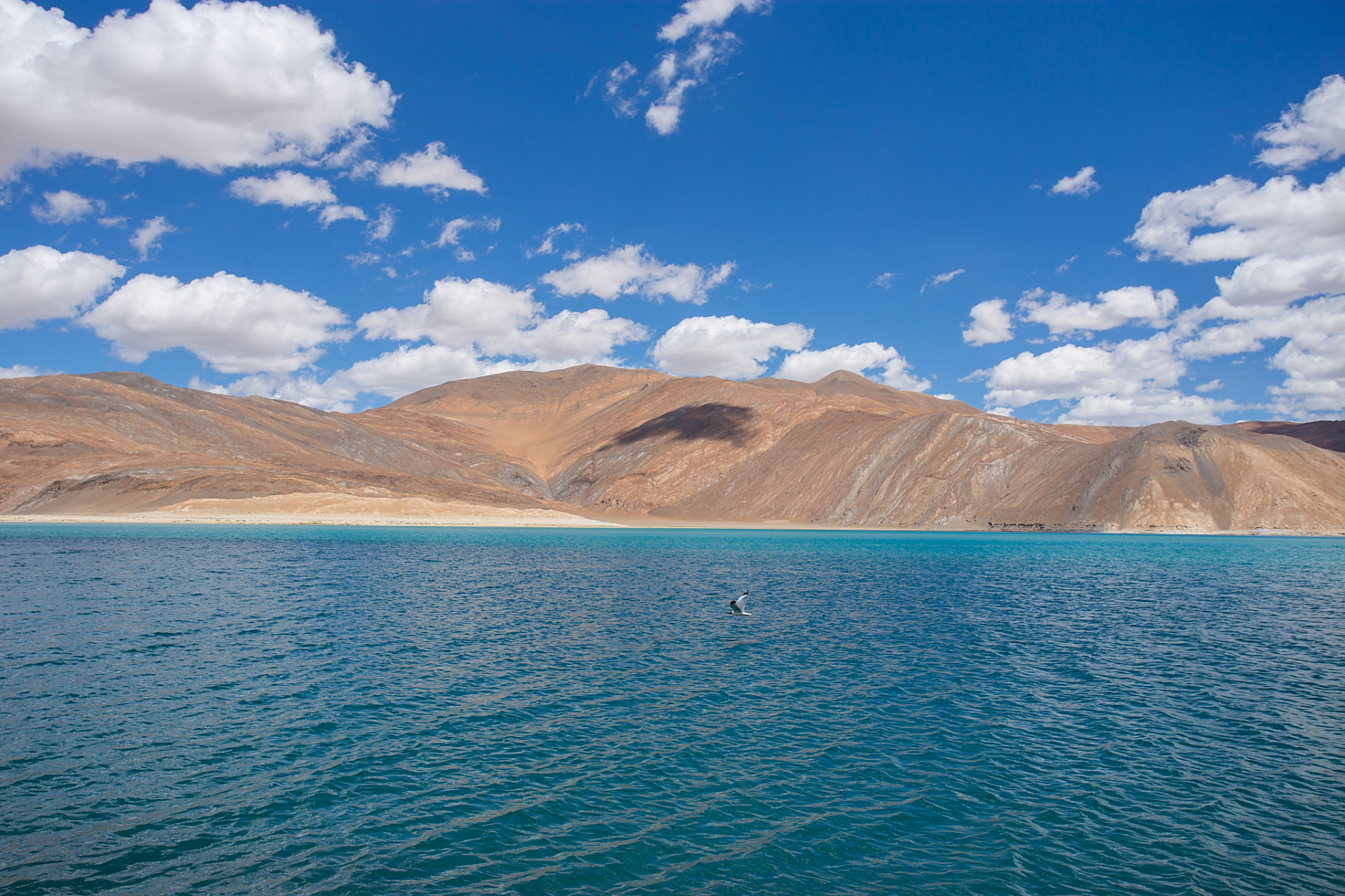 旅行中的治愈日常# 措那湖位于西藏自治区那曲市安多县.