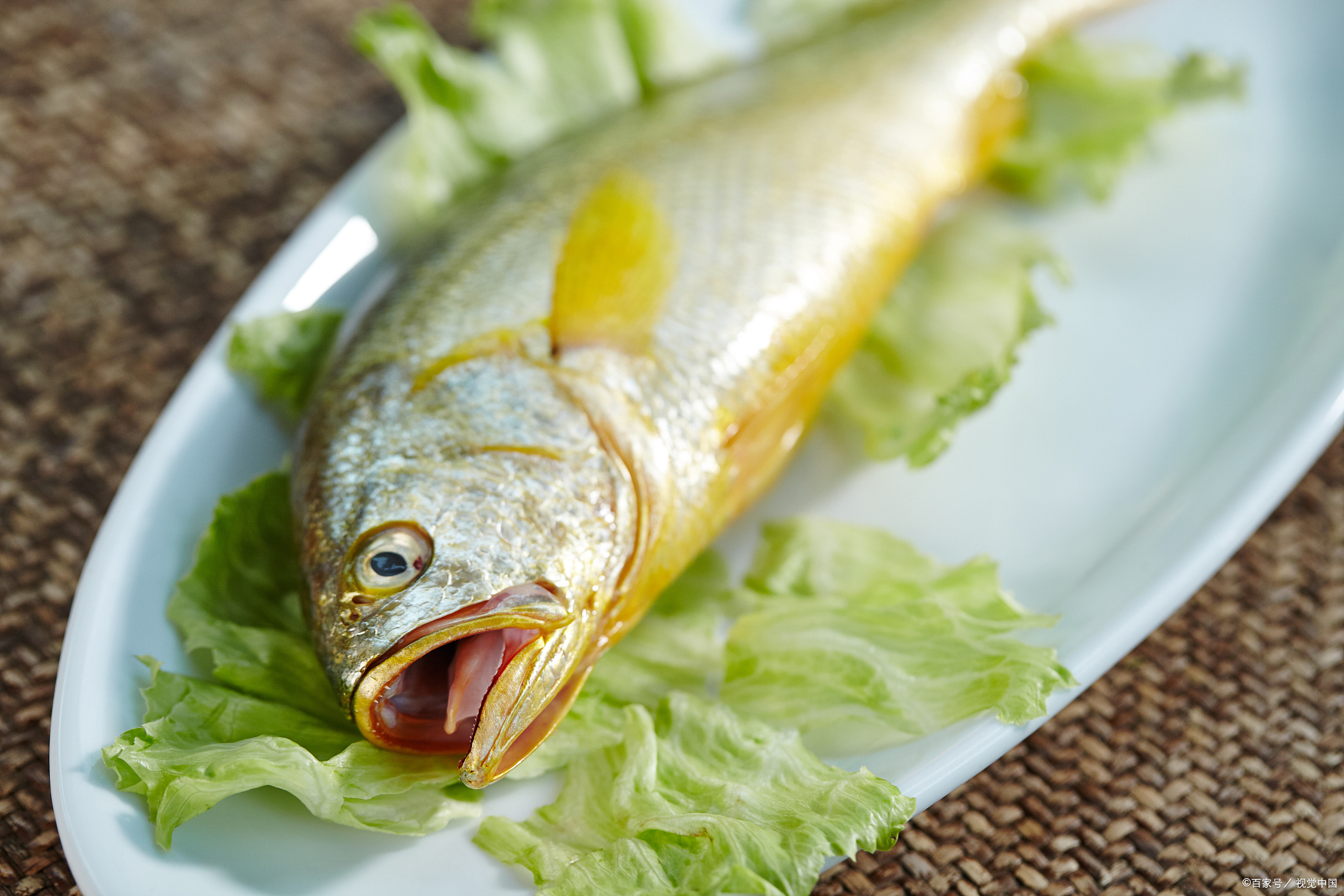 别急,带你搞懂!  我们首先排除一个误区,黄鱼和黄花鱼不是同一种鱼.