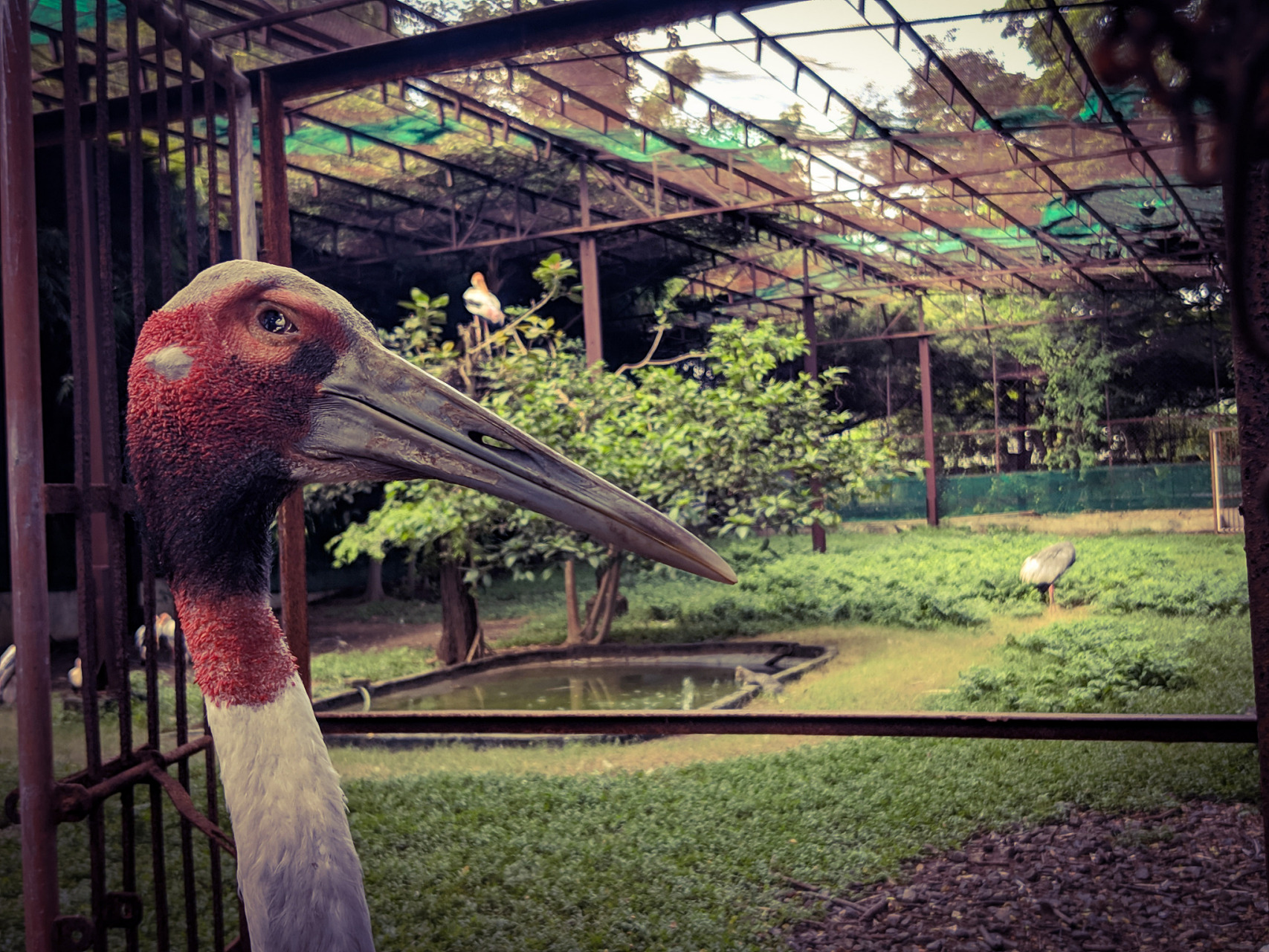 武汉东湖飞鸟世界(原"东湖鸟语林")位于风景秀丽的武汉市东湖风景名胜