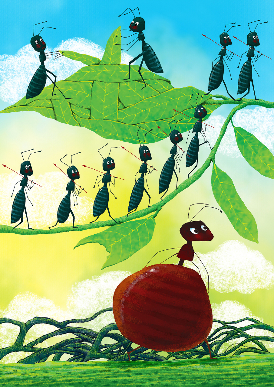 夜晚的无奈,让我体会到小蚂蚁的心酸.