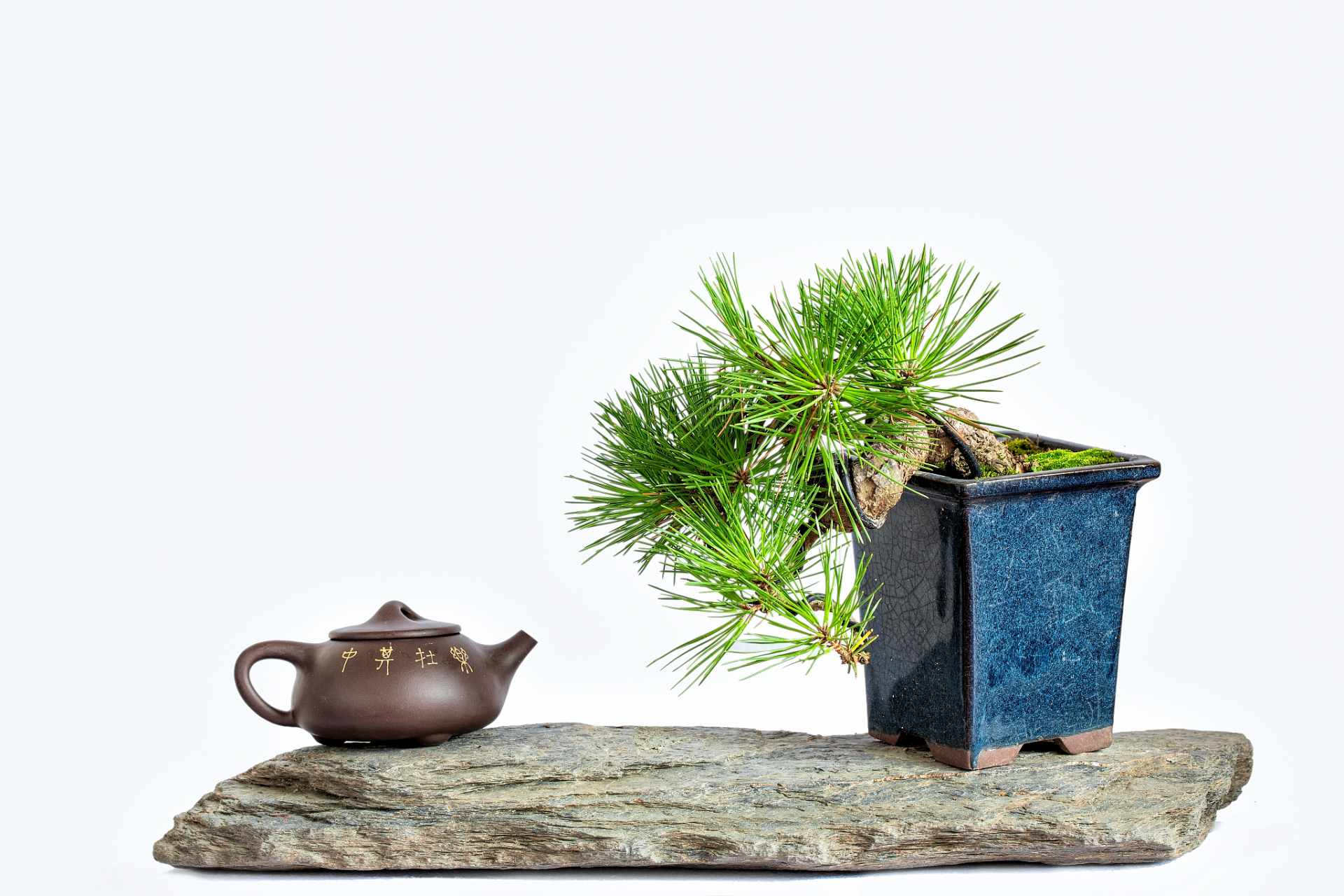 还记得《甄嬛传》里的矮子松盆景吗?