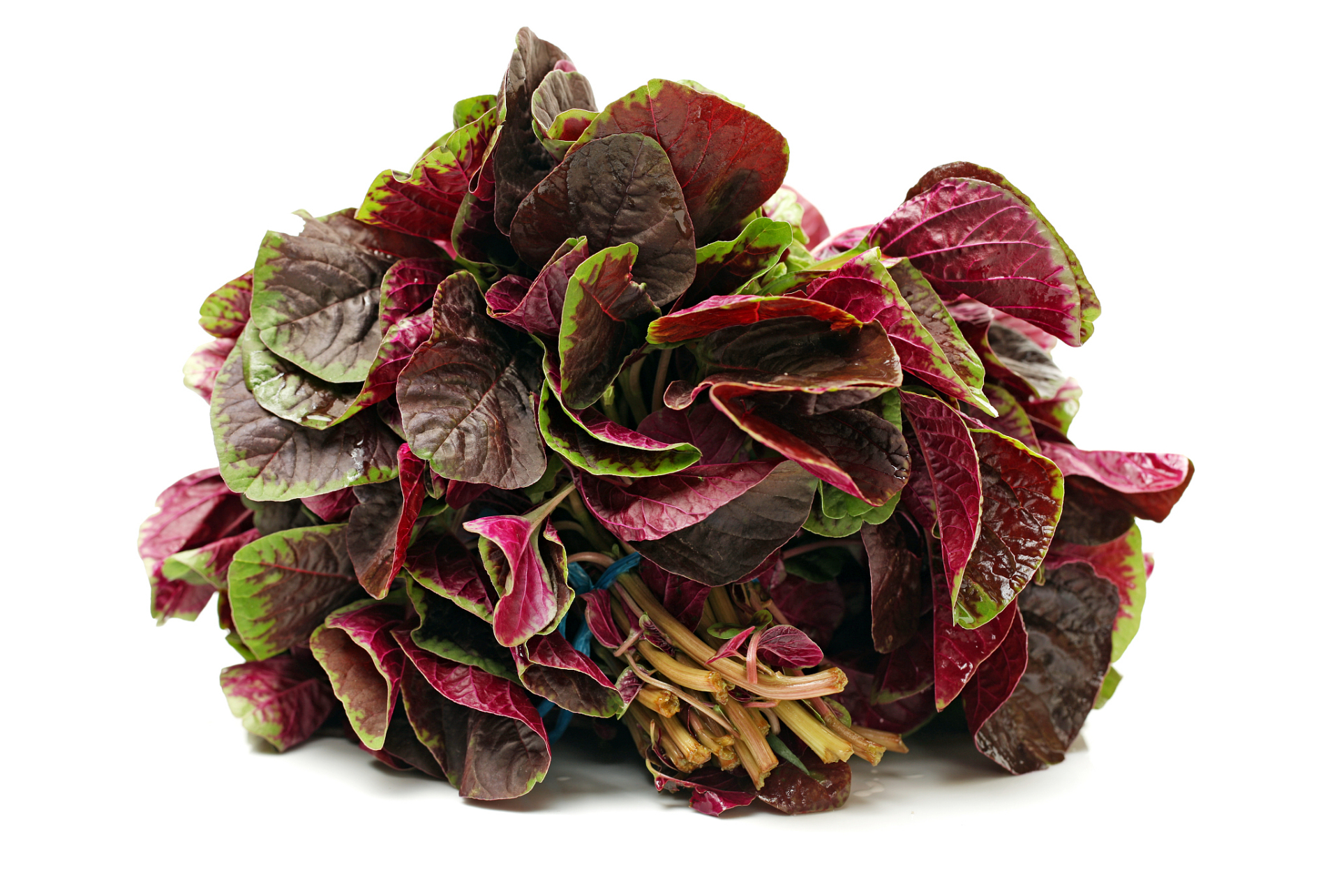 孕中期,孕妇可以吃红苋菜吗?