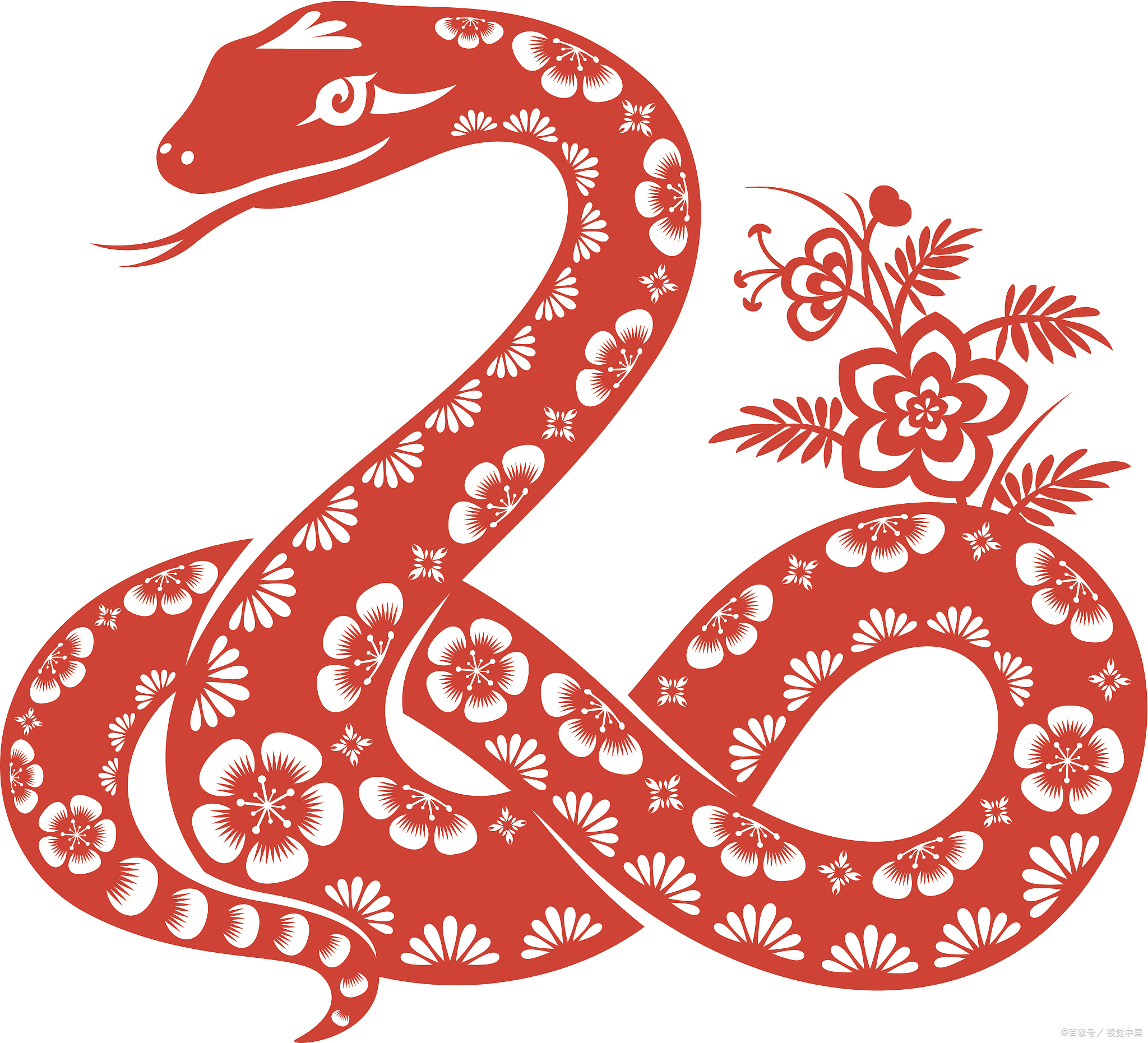 蛇性格稳重,行事沉着冷静,不轻易失控.