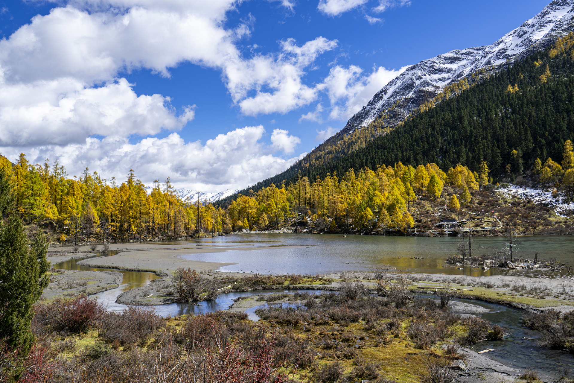 党岭风景区总面积368平方公里,是一座天然的生物宝库.